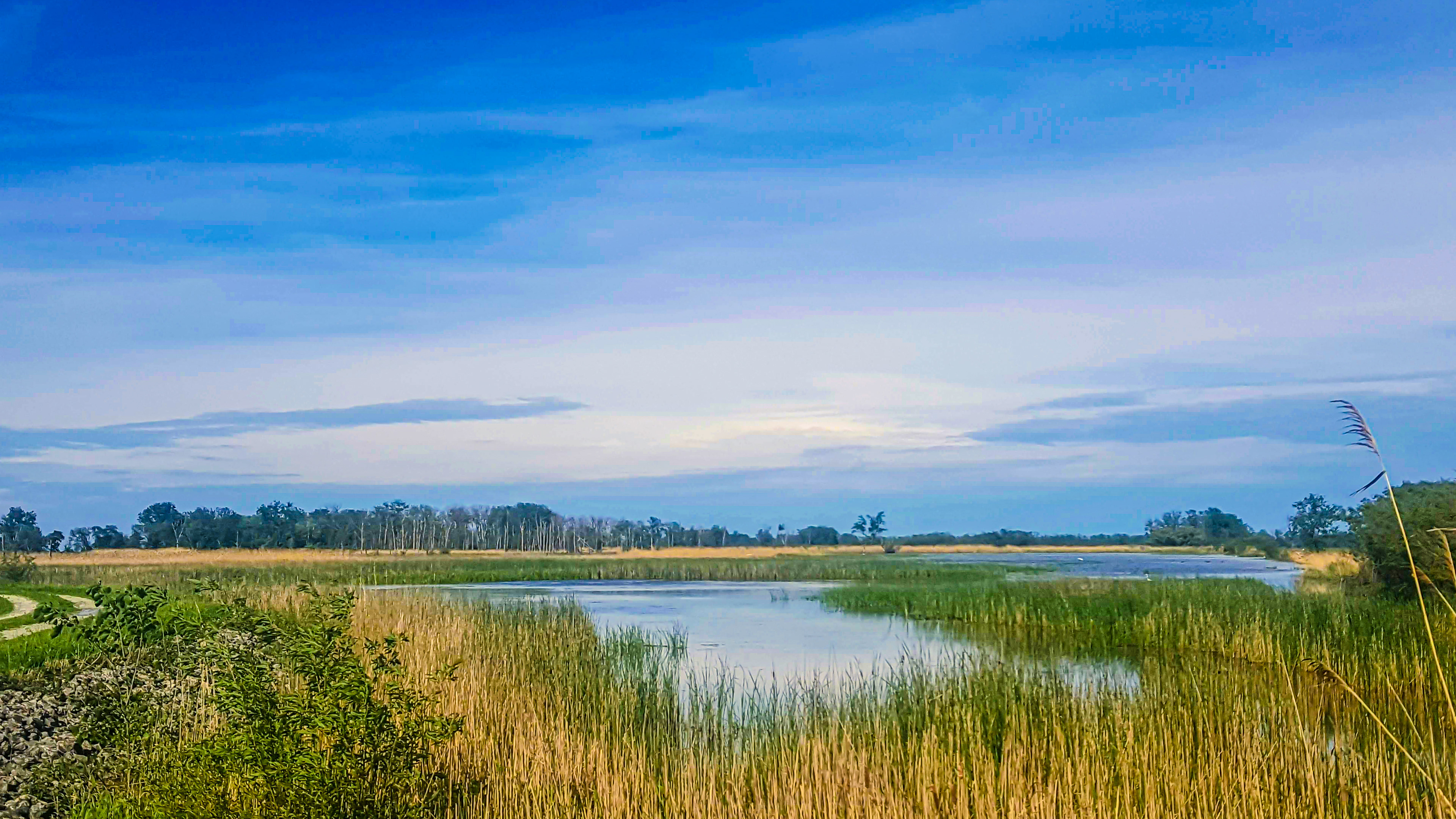 Marsh on the Rock (Ottawa National Wildlife Refuge, Oak Harbor, OH)