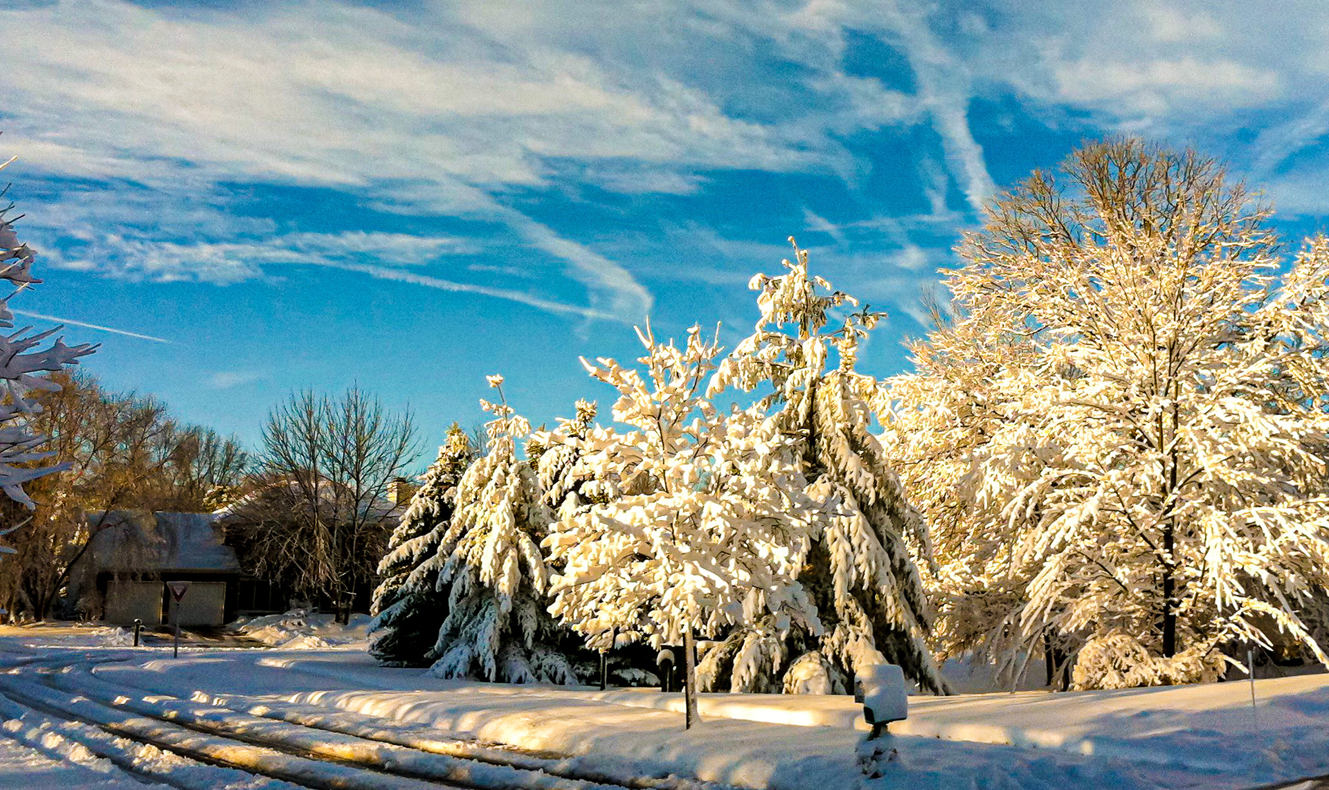 Winter Wonderland (Okemos, MI)