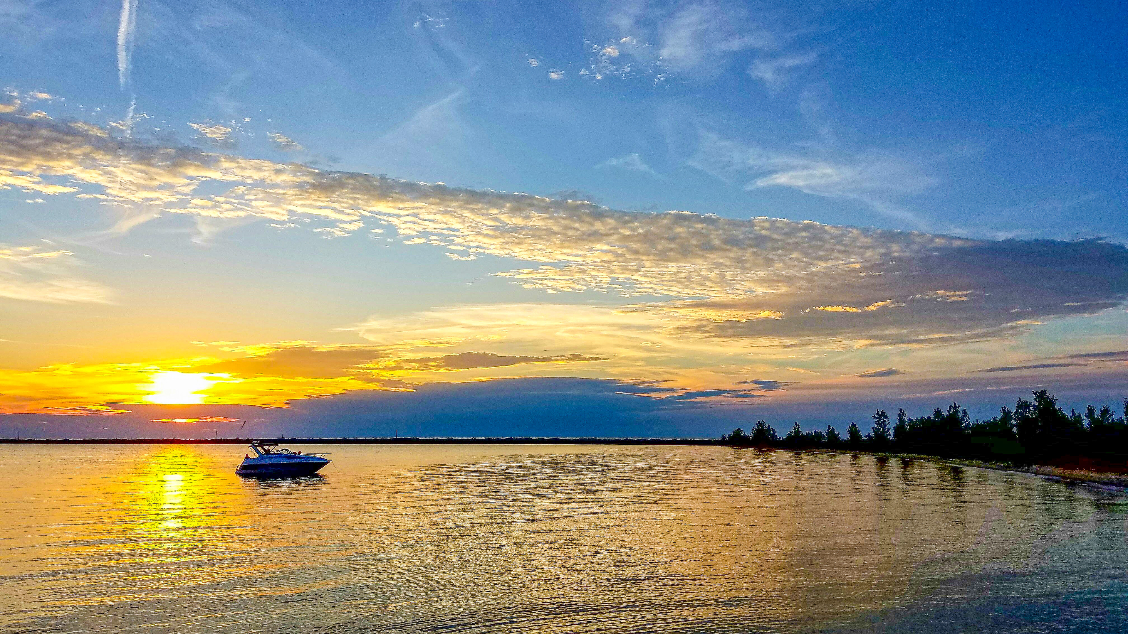 Homecoming: Returning to nest on Lake Muskegon (Muskegon, MI)