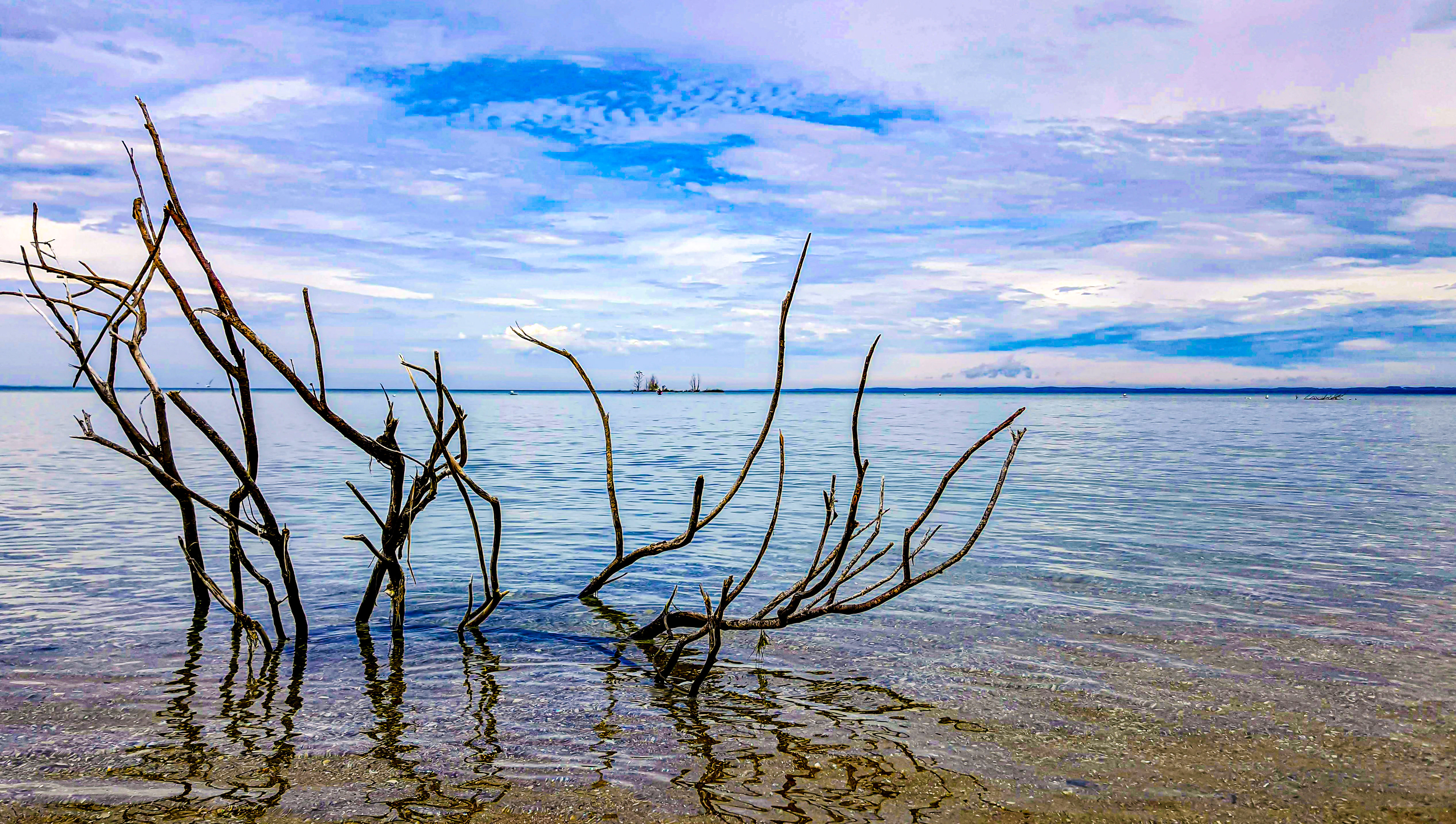Charming Skeleton (Traverse Bay, Traverse City, MI)