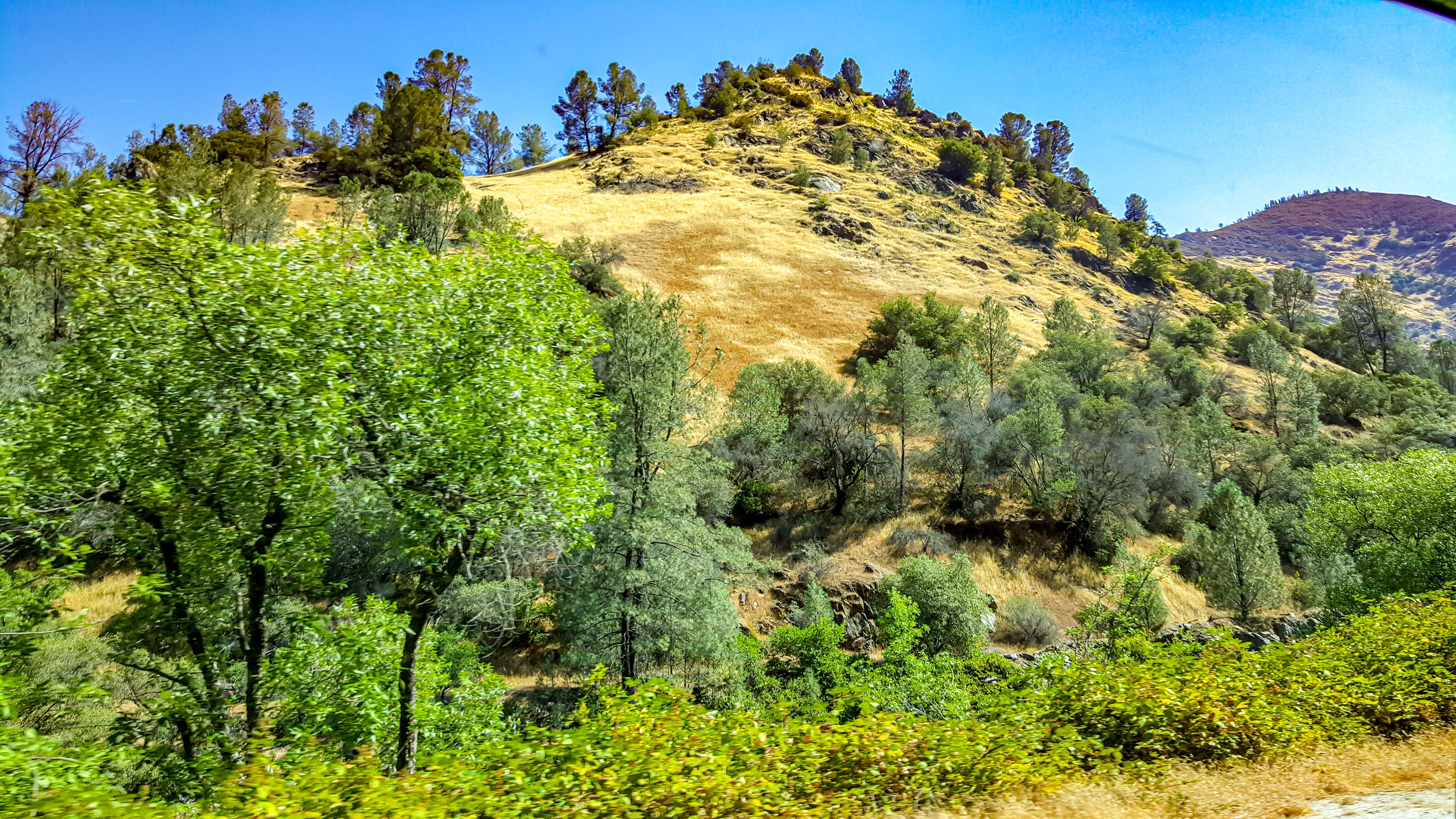 Carpet on the Rock (Petaluma, CA)
