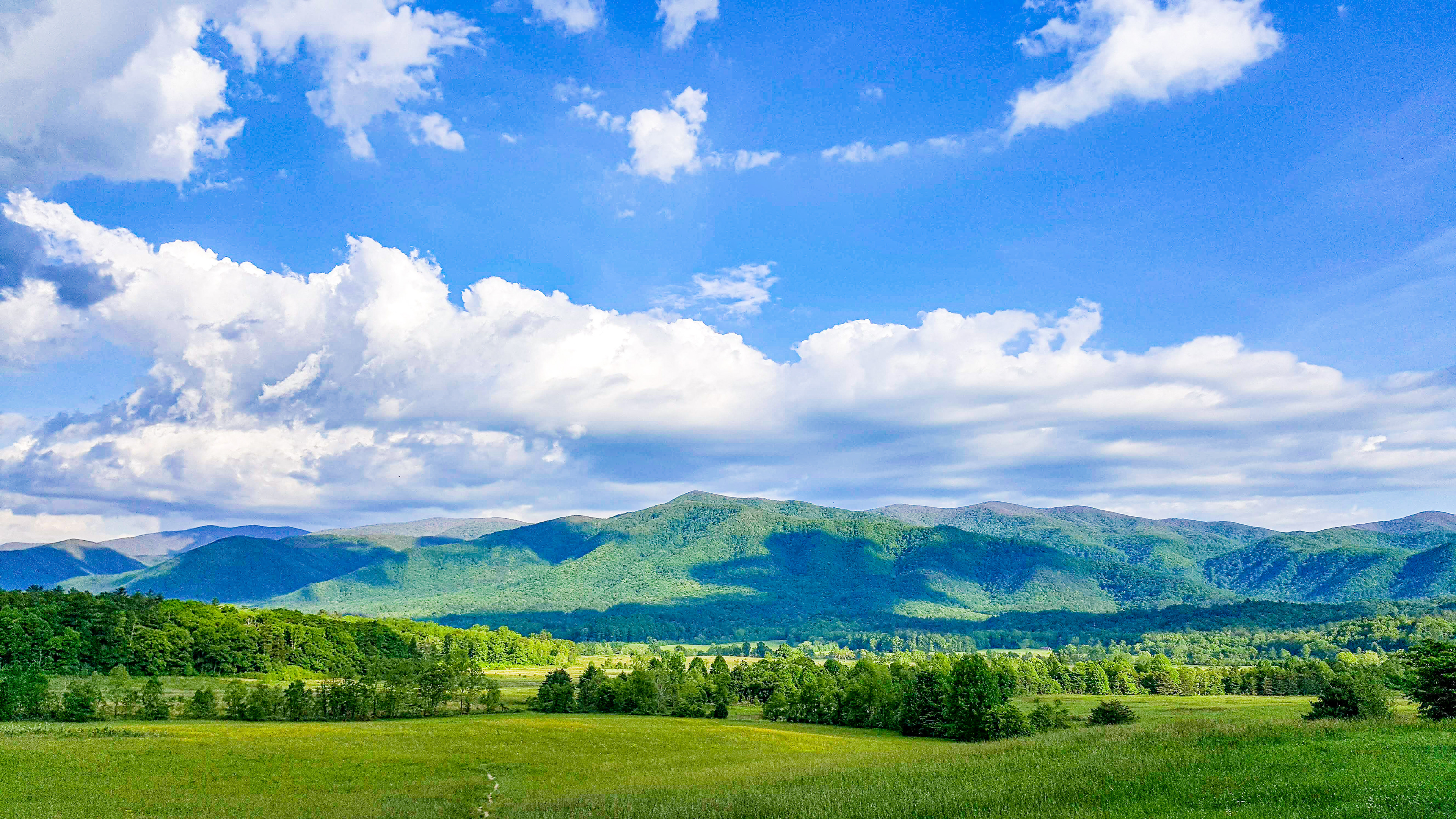 Shadow of Whites (Cades Cove, Smoky Mountains, TN)