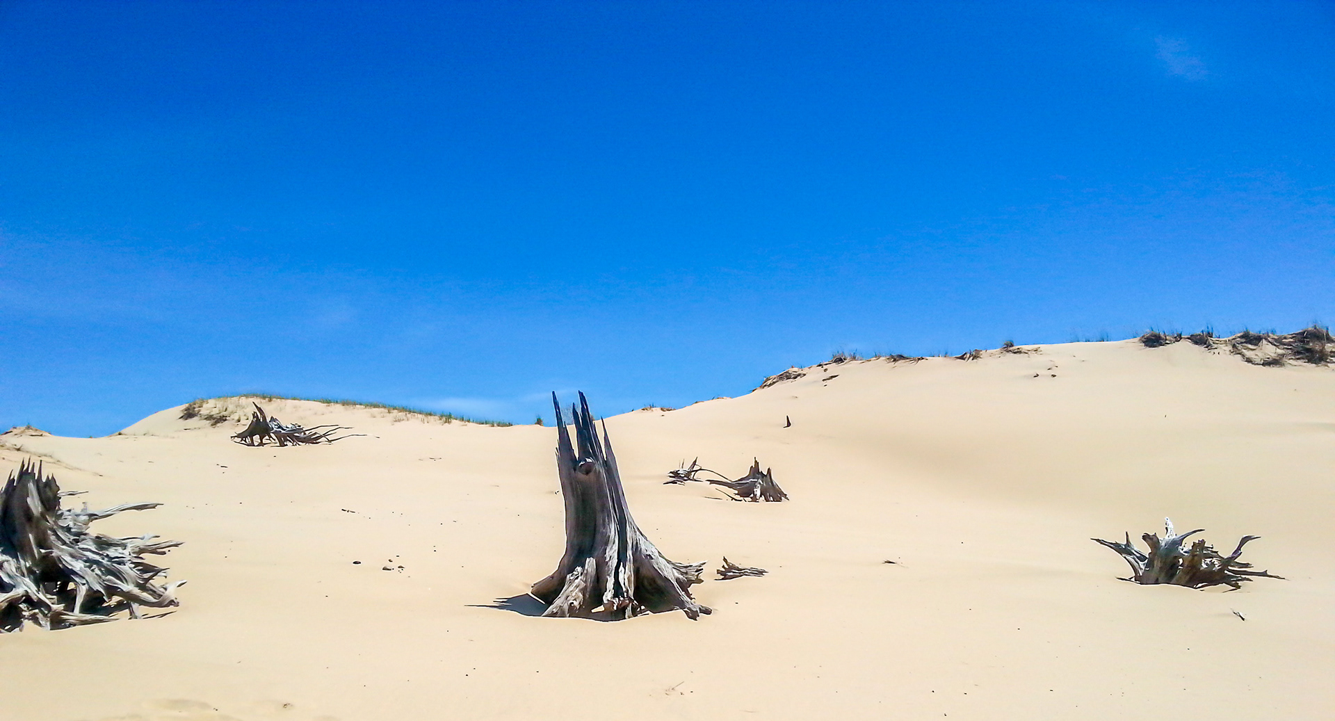 Gone World (Silver Lake Sand Dunes, Hart, MI)