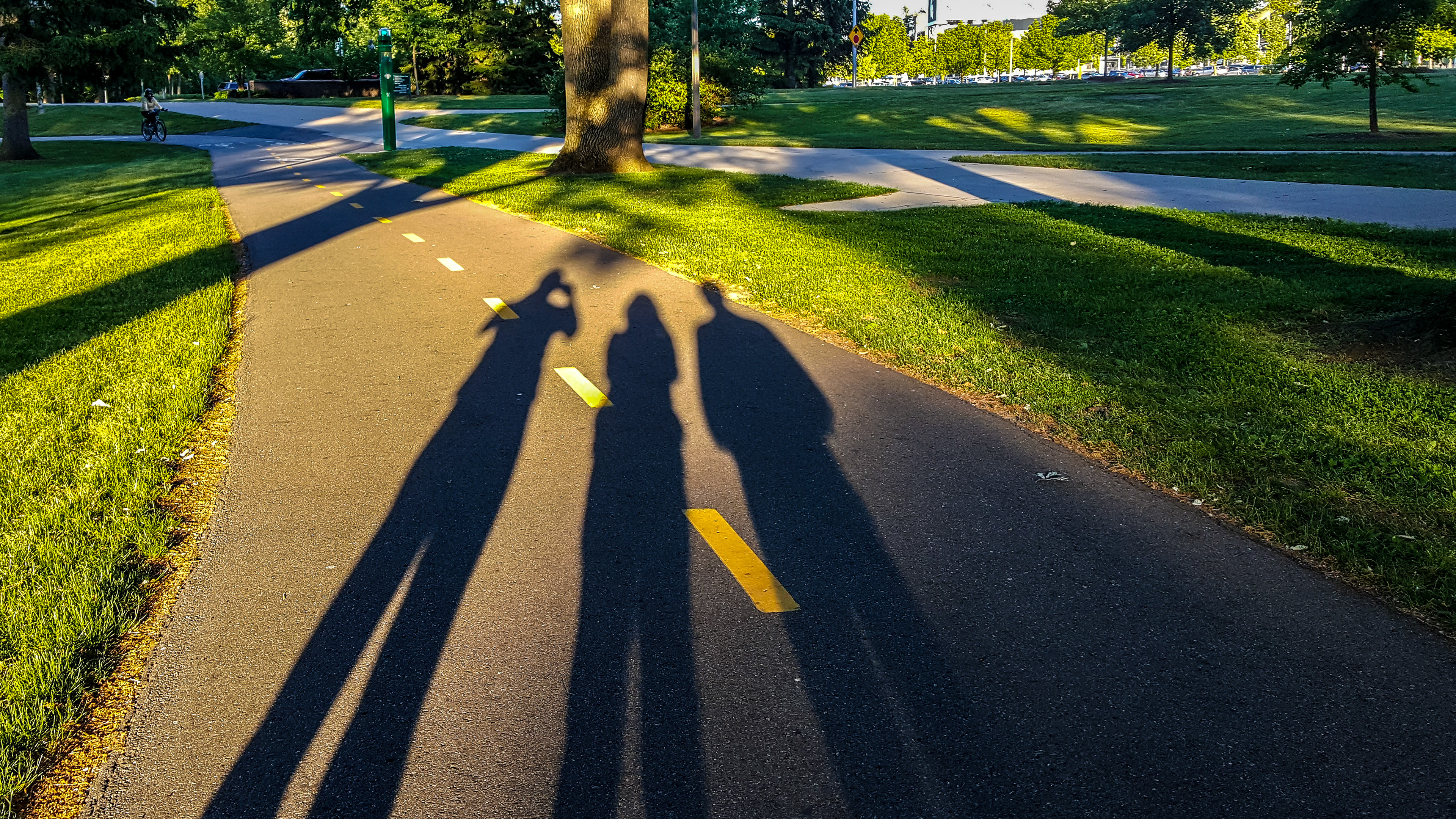 A Shadows Day Out (Michigan State University Campus, MI)