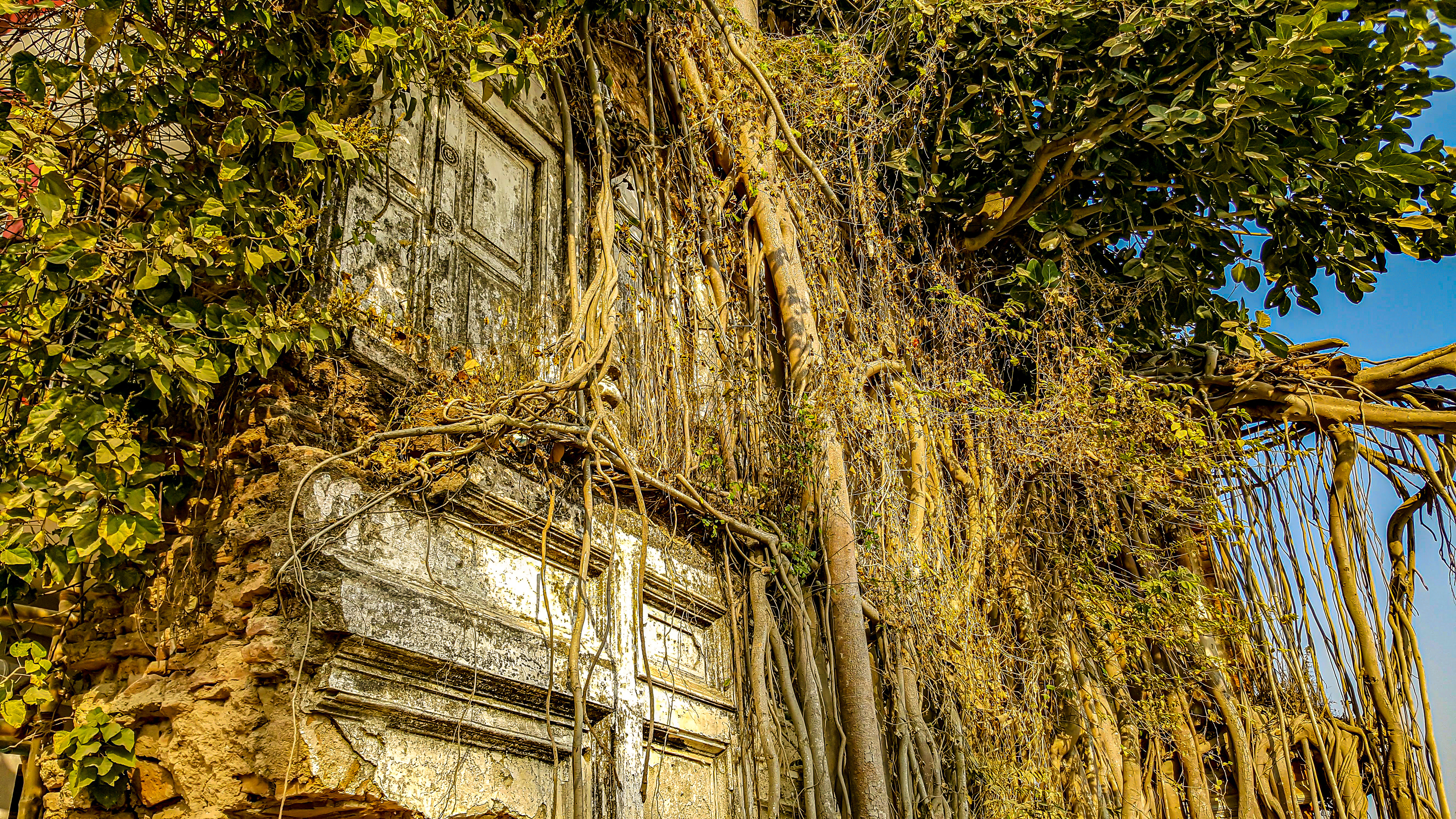 Roadkill of Time (Taki King's Palace, Taki, Hashnabad, WB, IN)