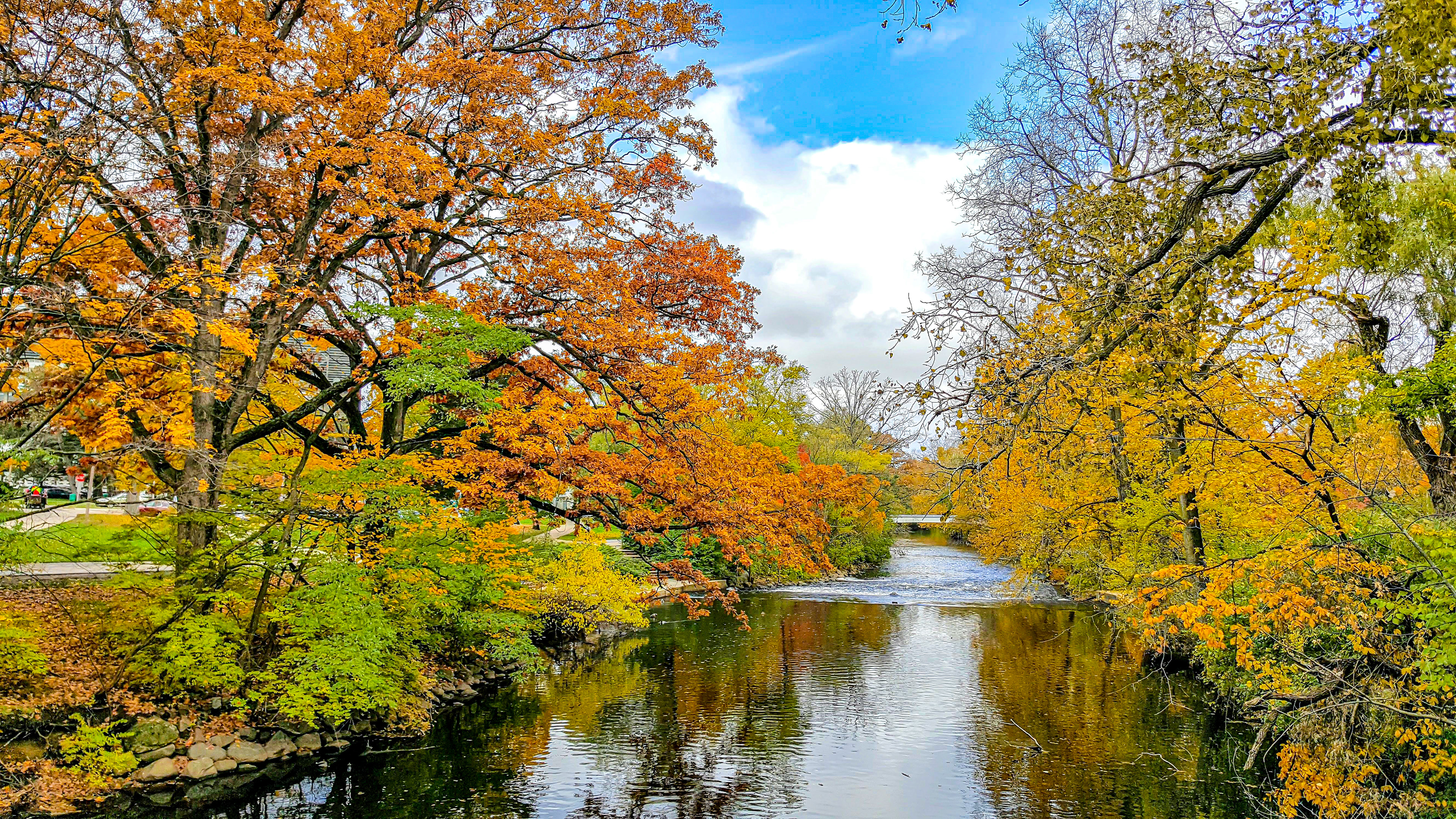 Fall in the Air (Michigan State University Campus, MI)