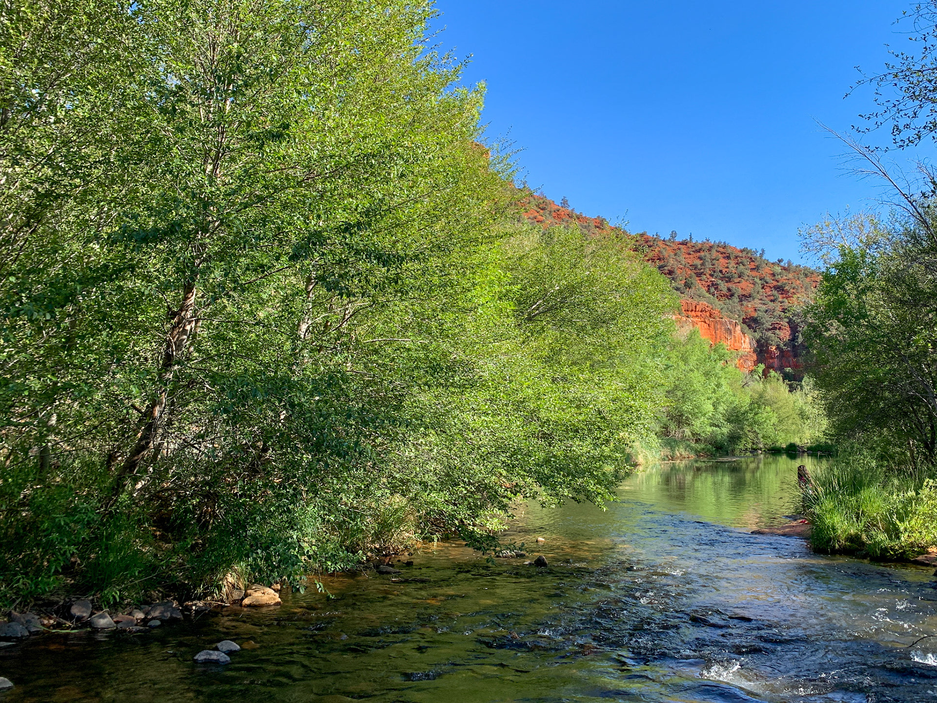 The creek down below the Oak Creek Canyon
