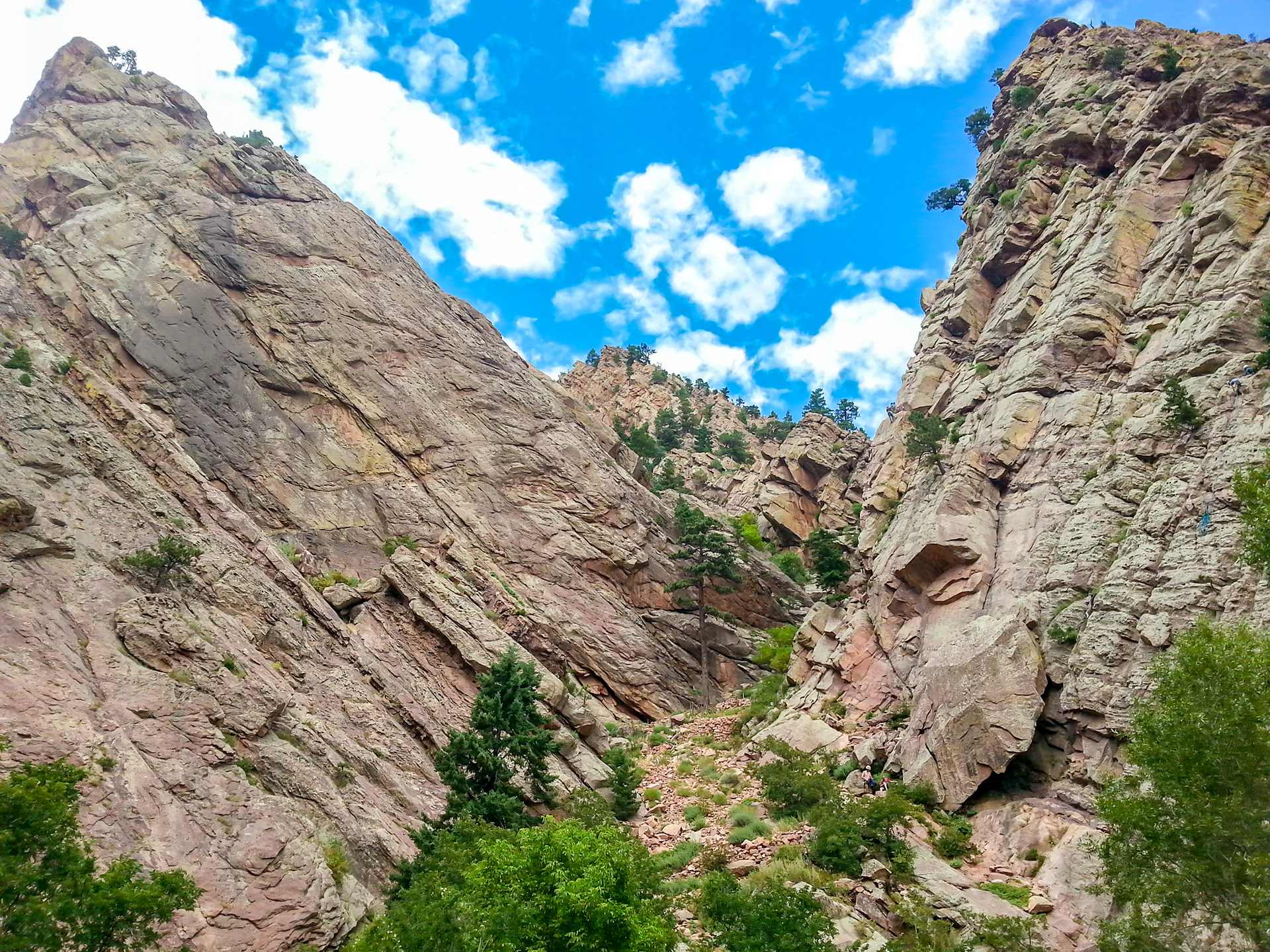 Persistence of Life (Eldorado Canyon, CO)