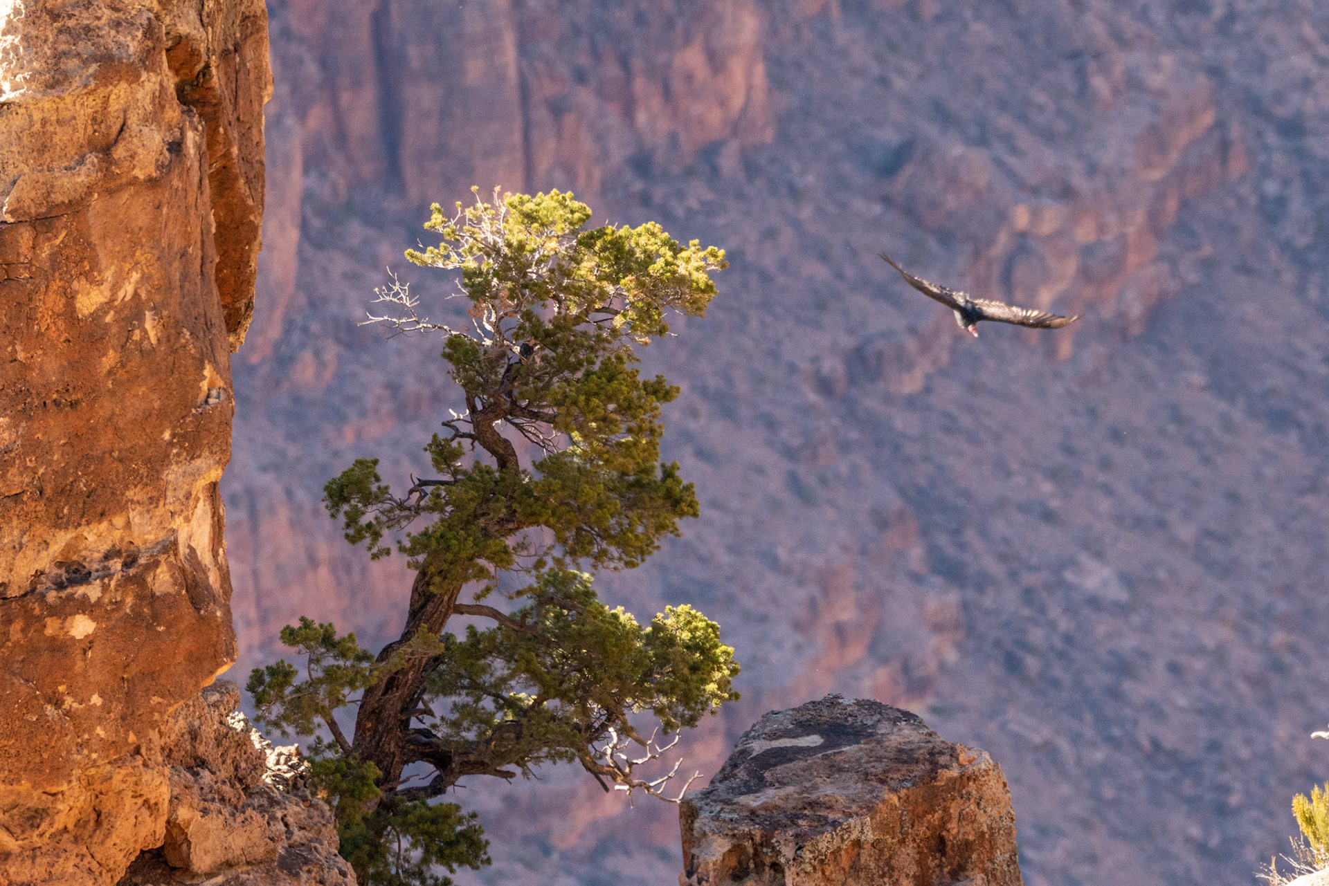 Ego is the first victim of nature's stoicism
