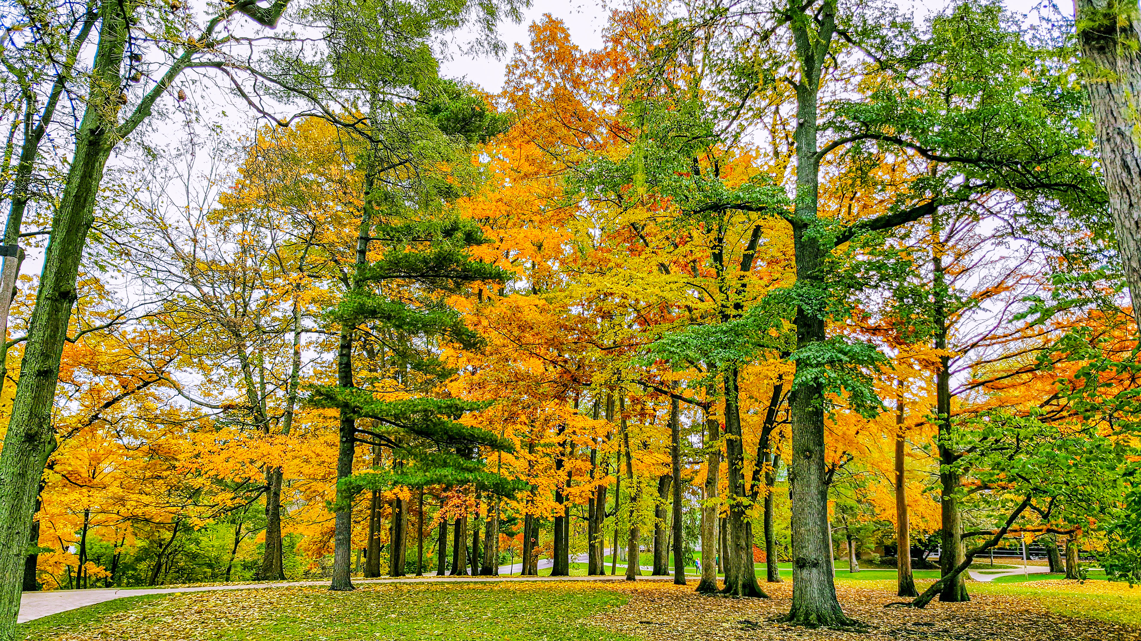 Vertical Tapestry (Michigan State University Campus, MI)