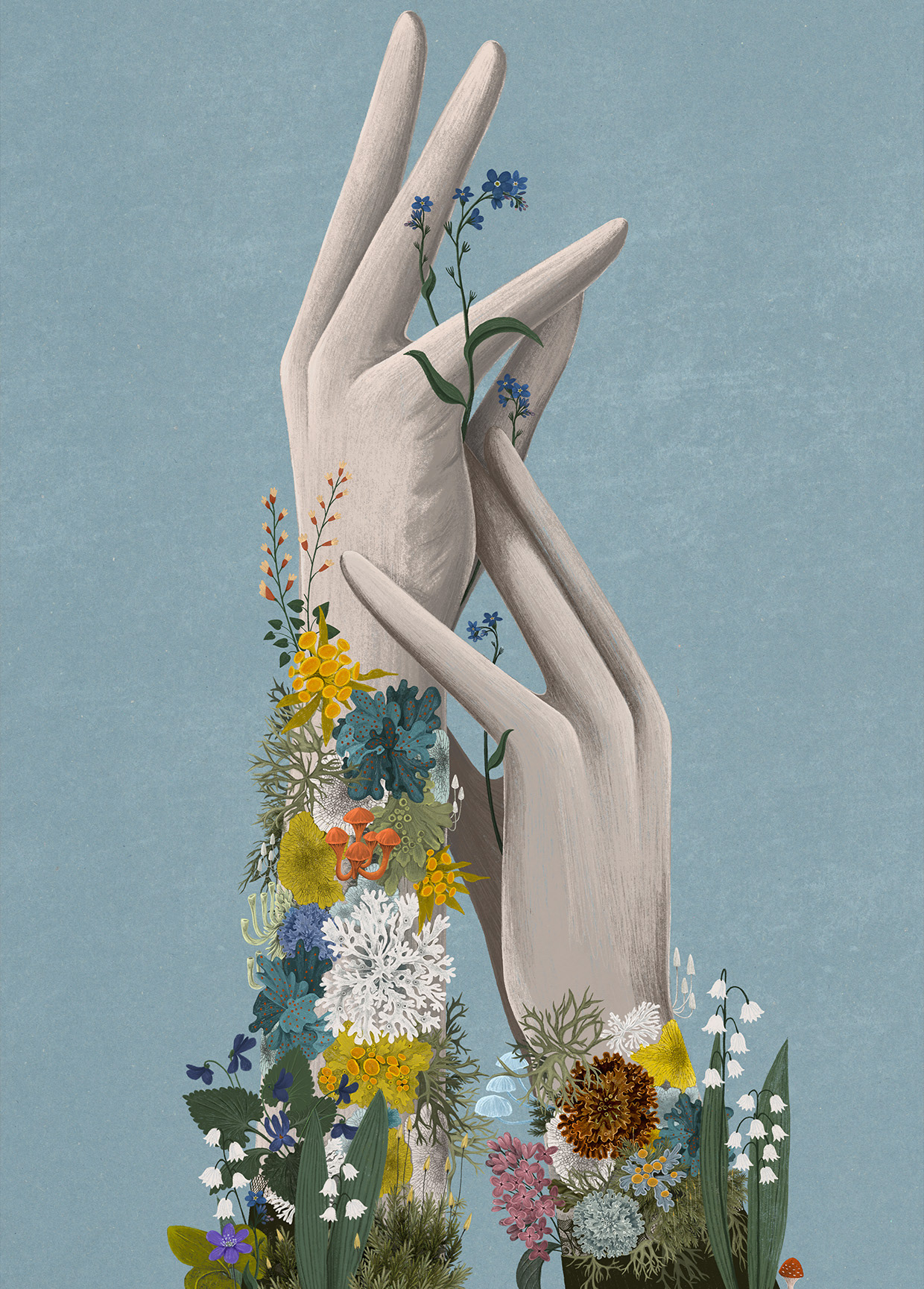 Forget-me-not. As someone fascinated by the micro-ecosystems shaped by lichens, fungi, and algae, forming small, self-contained forests.