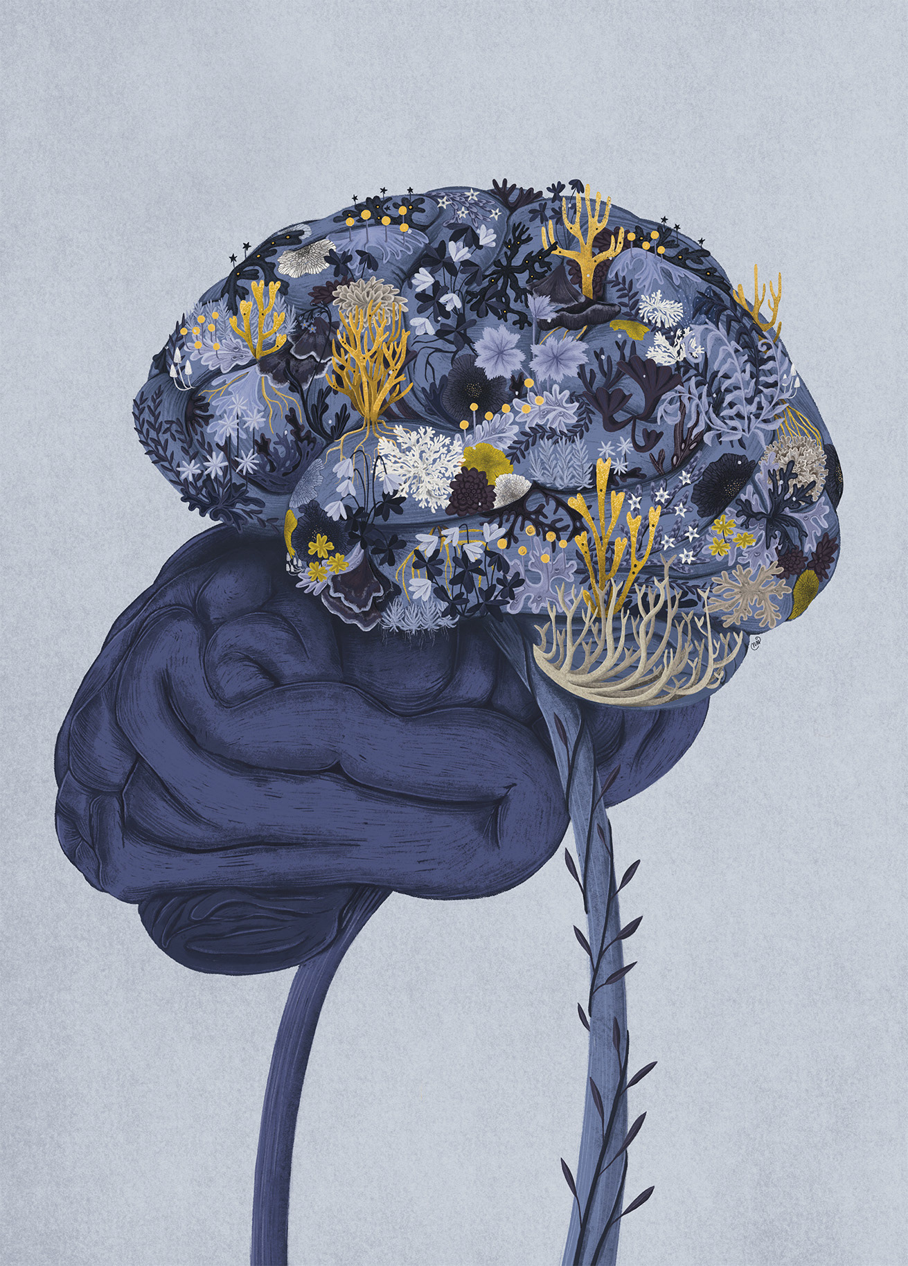 Close. Fungi, lichens, and moss form a miniature universe that mirrors our own, with landscapes resembling distant forests, hills, and mountains - a shifted perspective that reveals a densely layered, vibrant world.