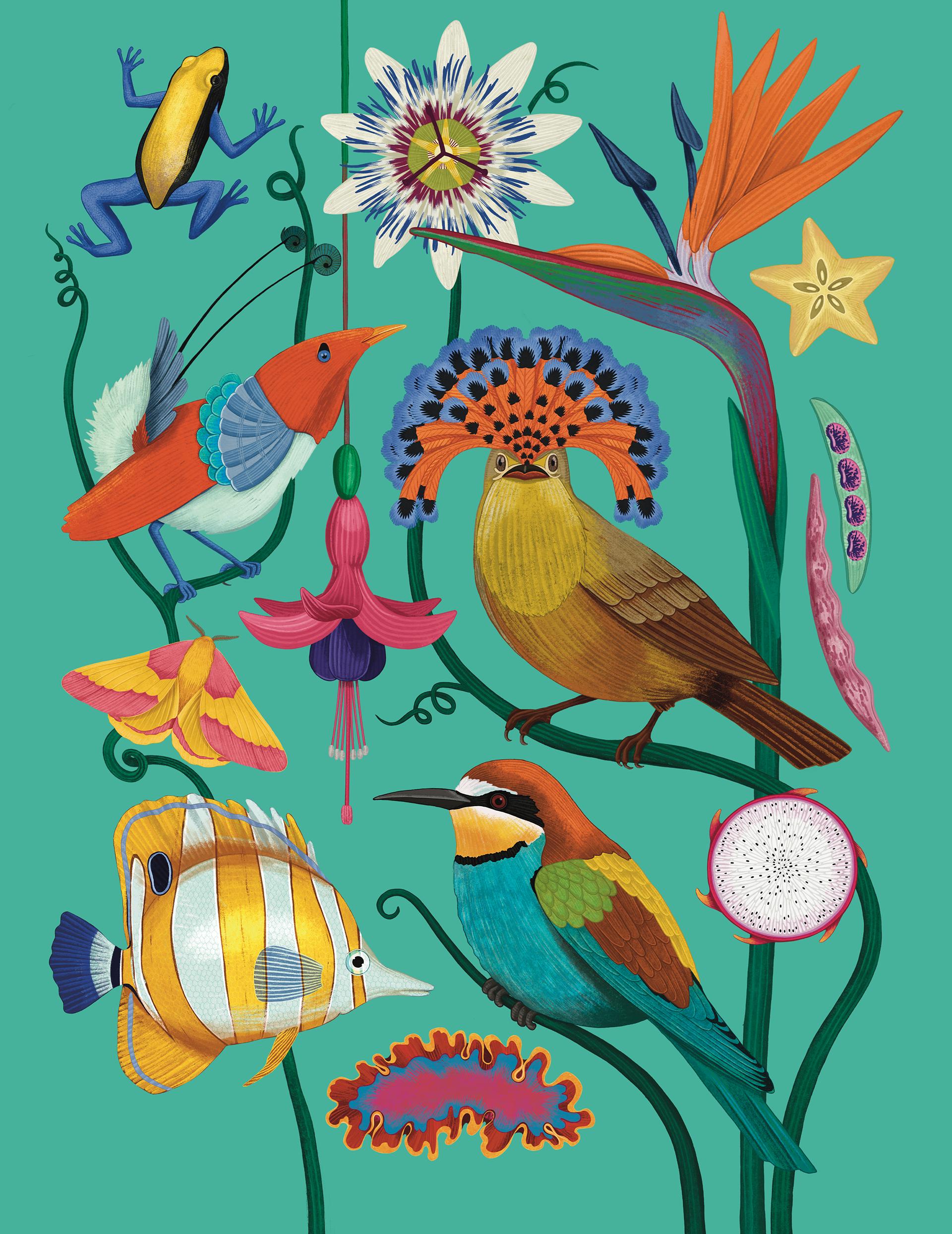 "Colours"  from The Wonder of Nature, published by Post Wave Children's Books