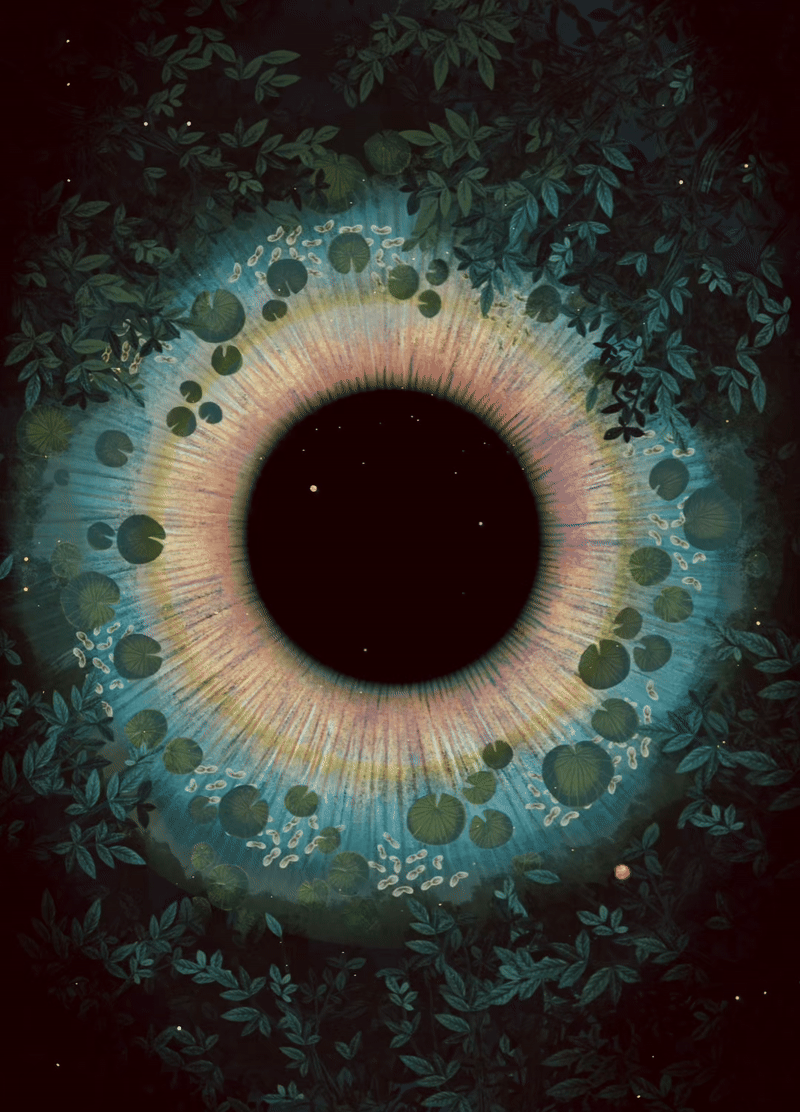 Song of firefly. Animation for Brahmaputra band