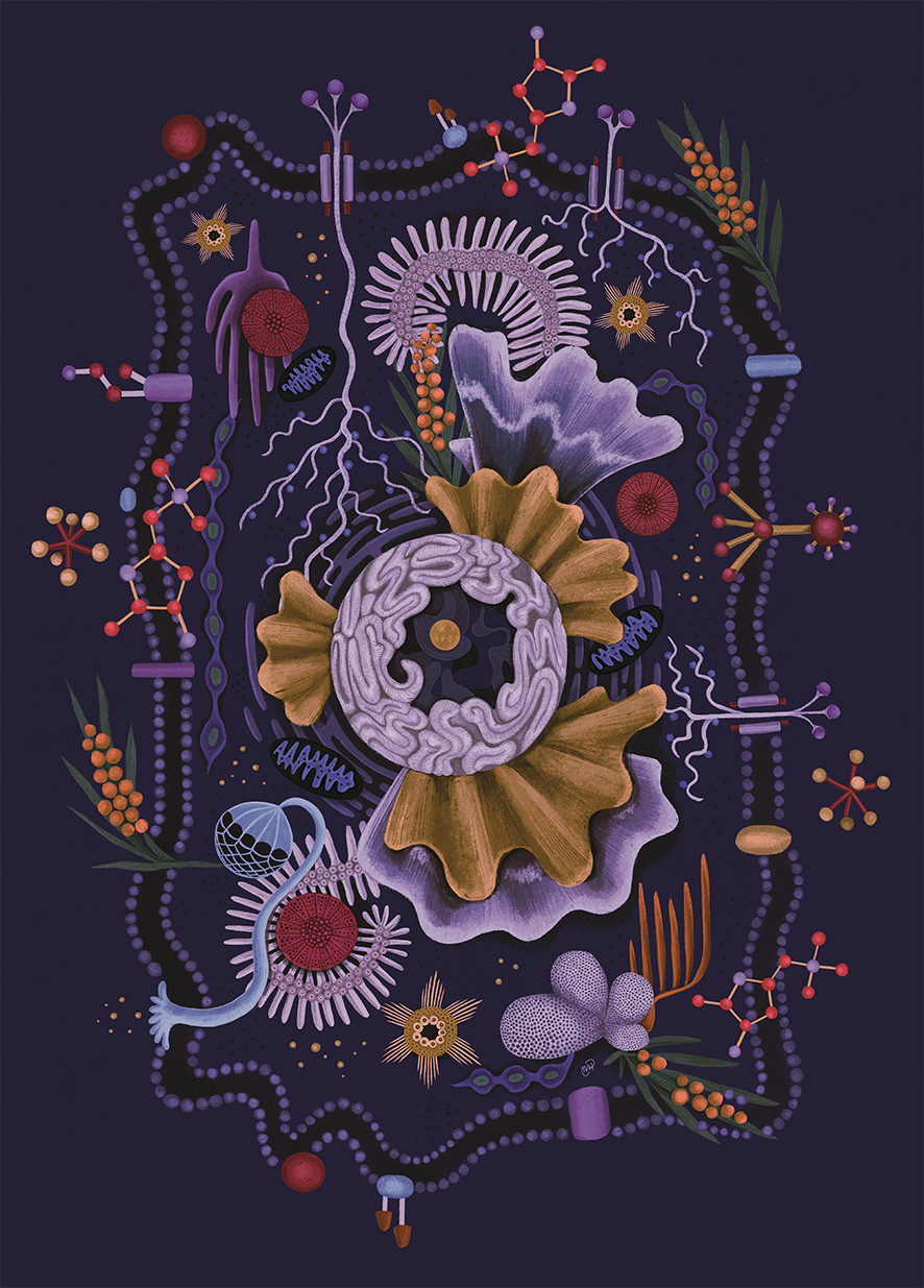 Cellular. A reinterpretation of the structure and function of an animal cell.