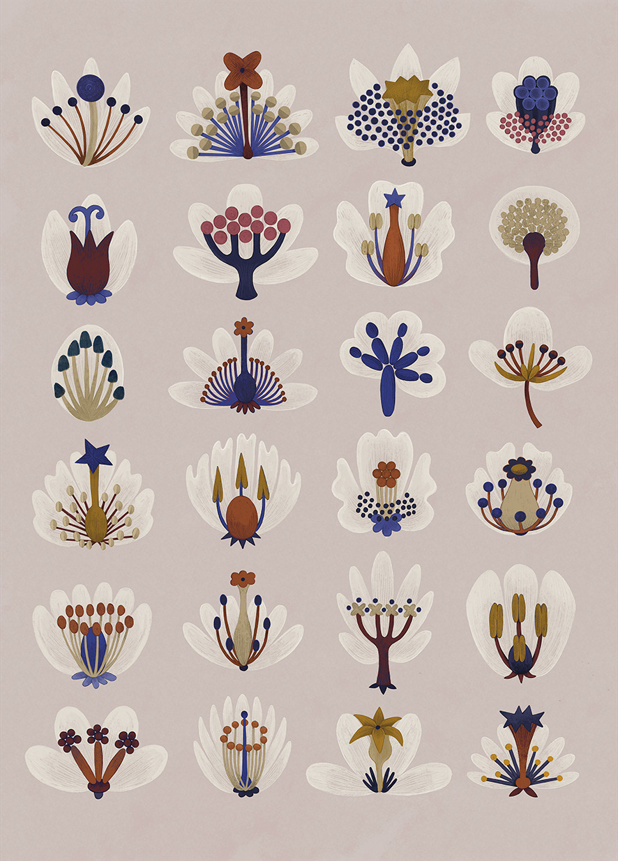 Diversity of forms: stigmas