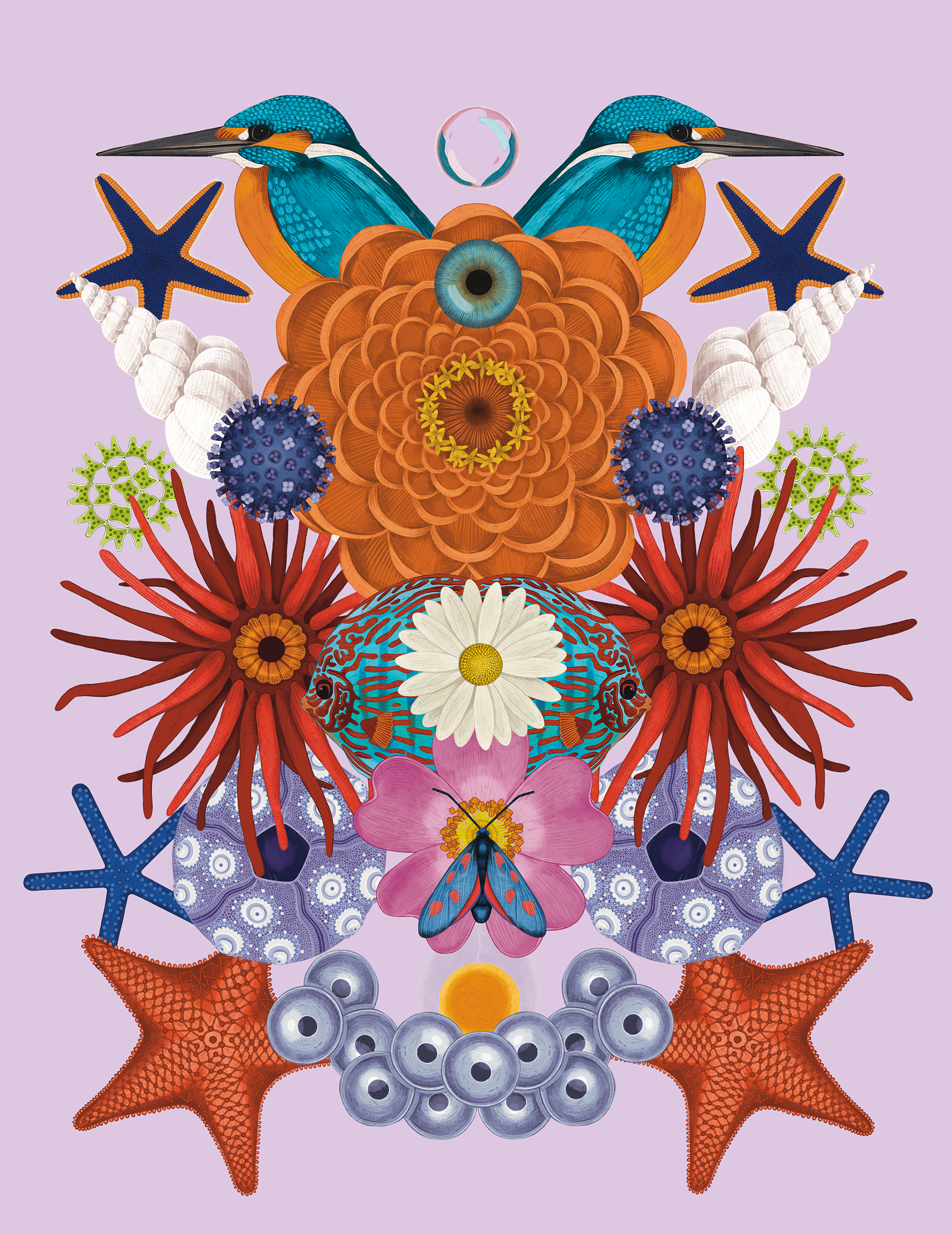 "Symmentry" from The Wonder of Nature, published by Post Wave Children's Books