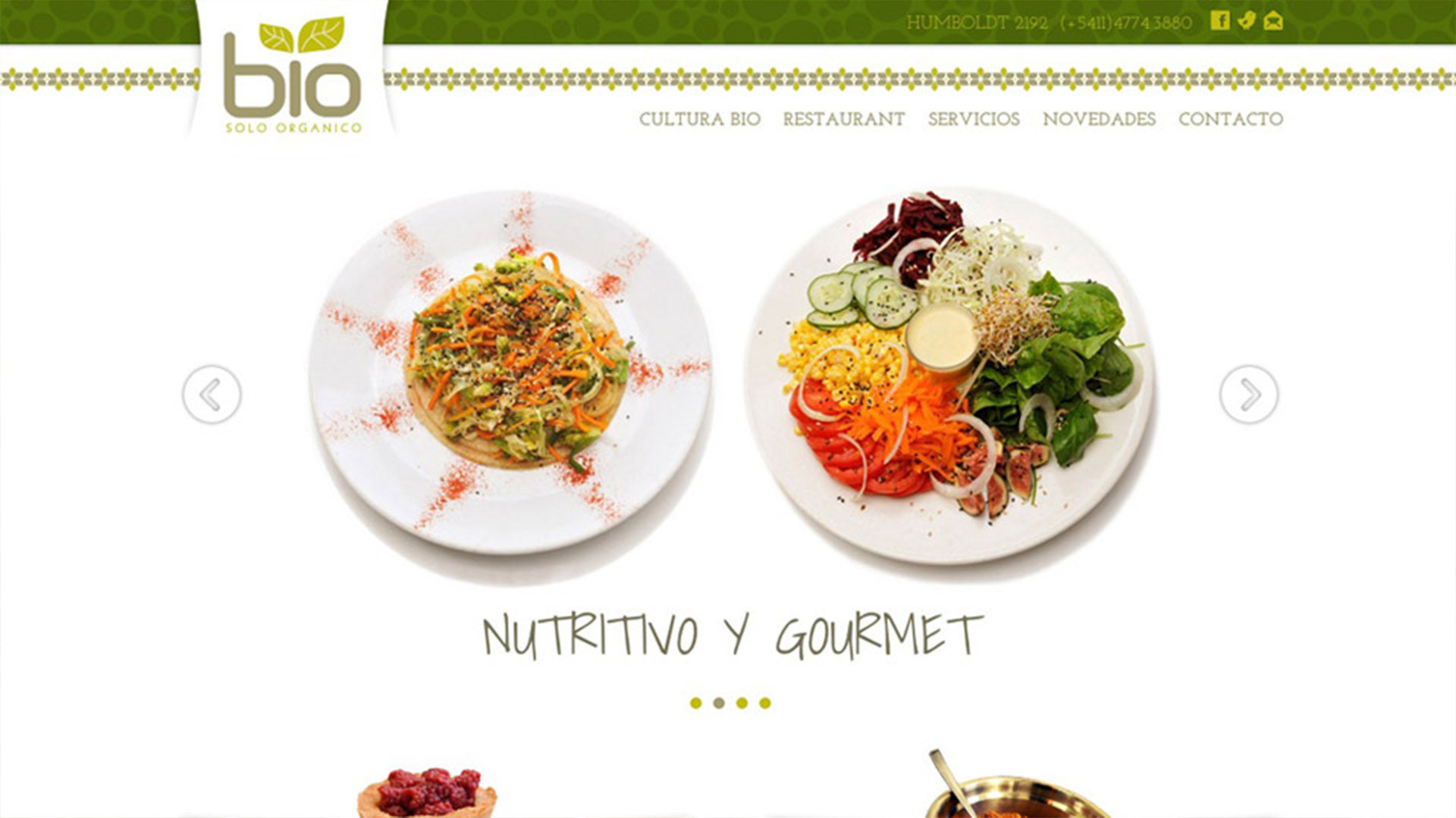 Bio Sólo Orgánico // Restaurant // Sitio Web v.1