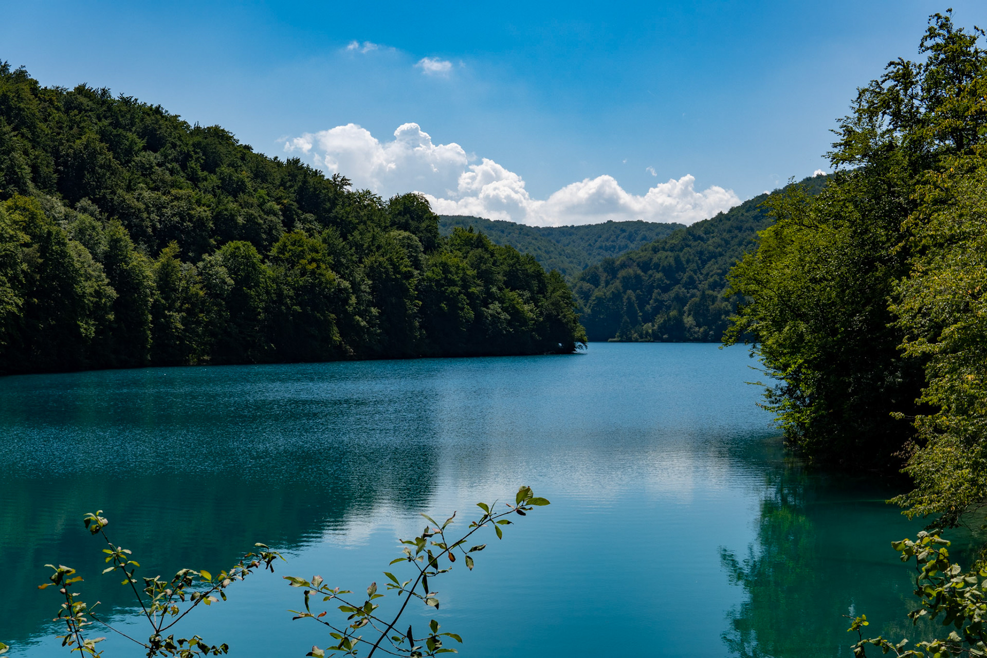 landscape of nature (Plitvice Lakes National Park)