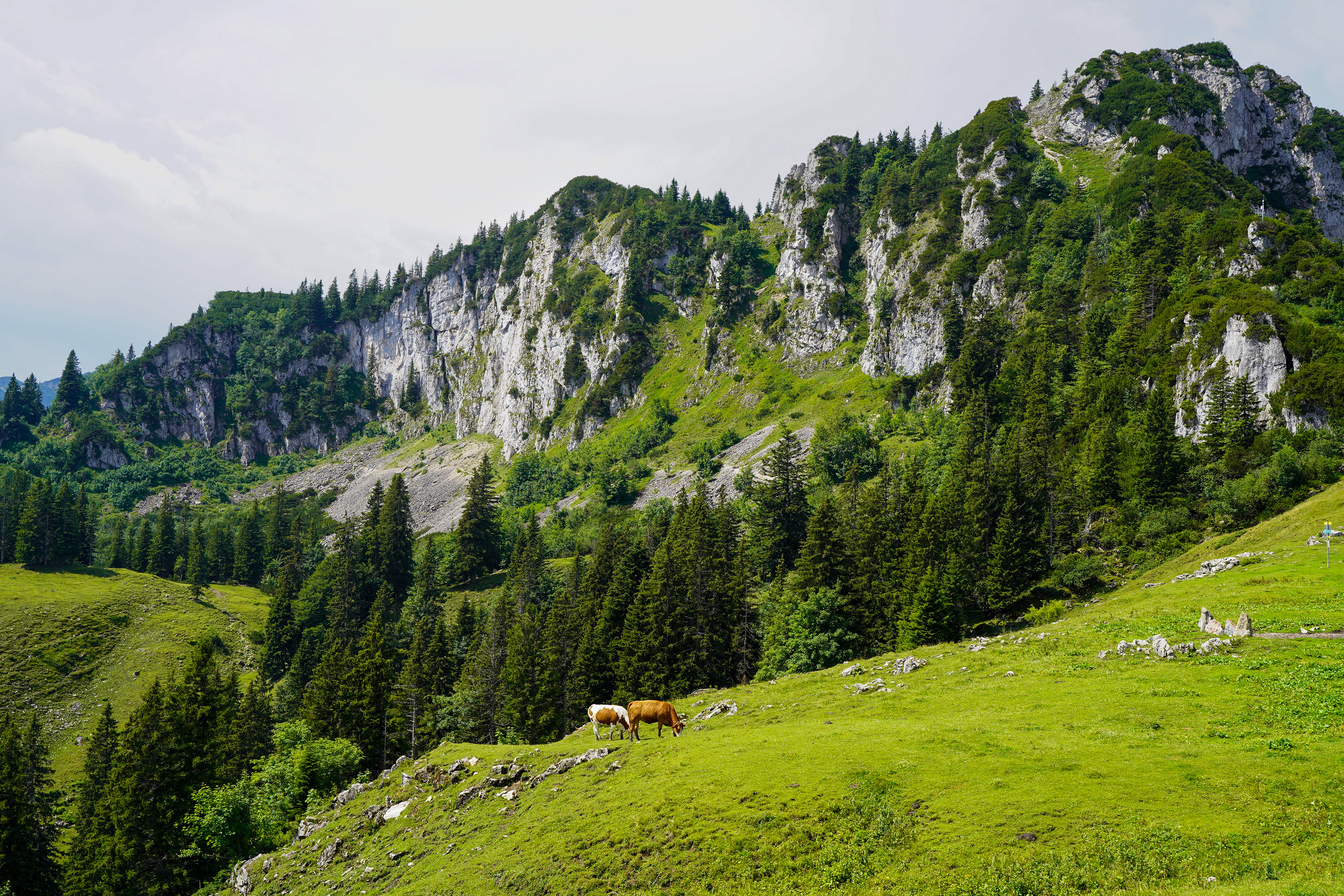 Kampenwand, Bavaria, Germany