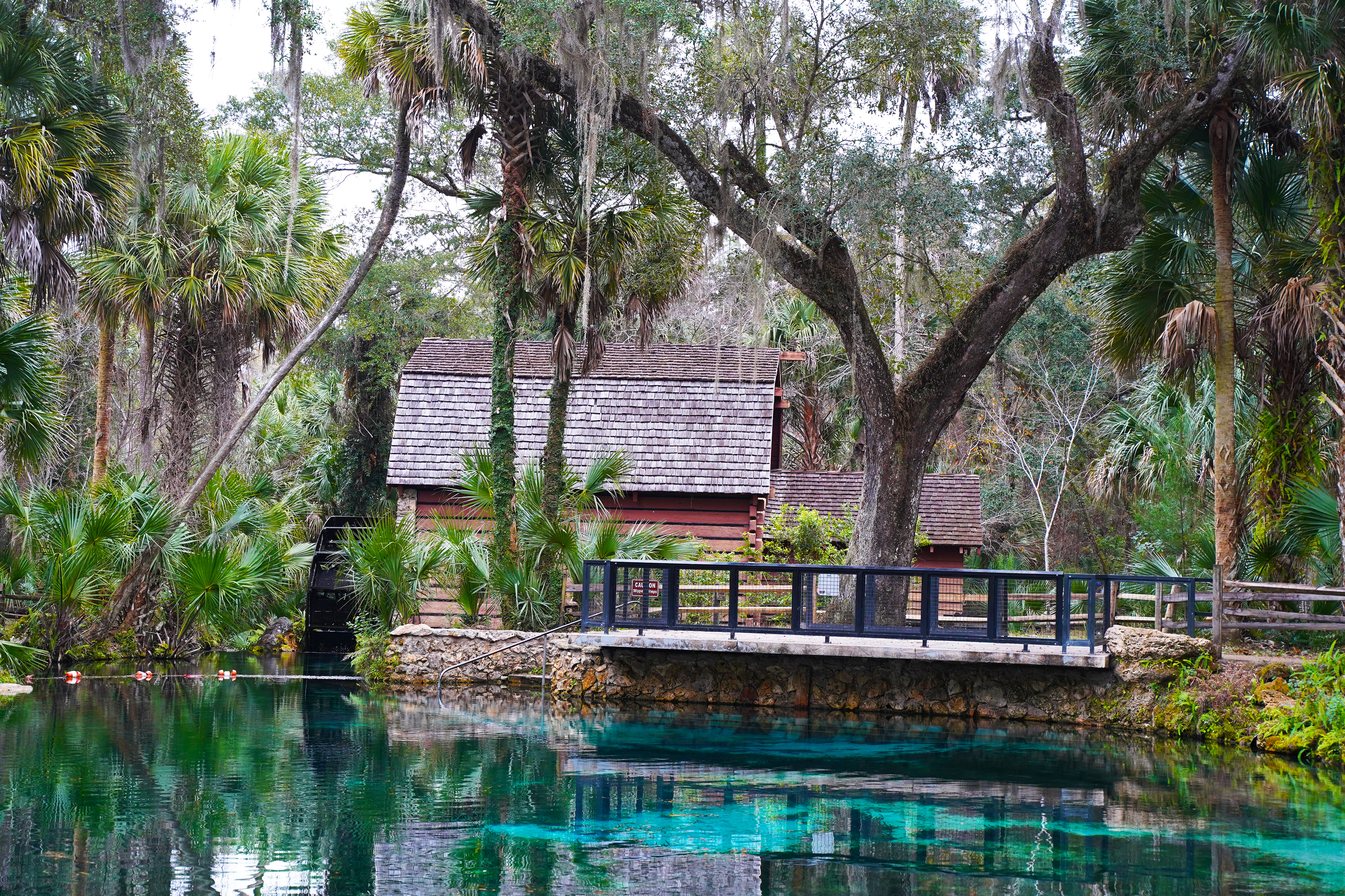 Ocala National Forest
