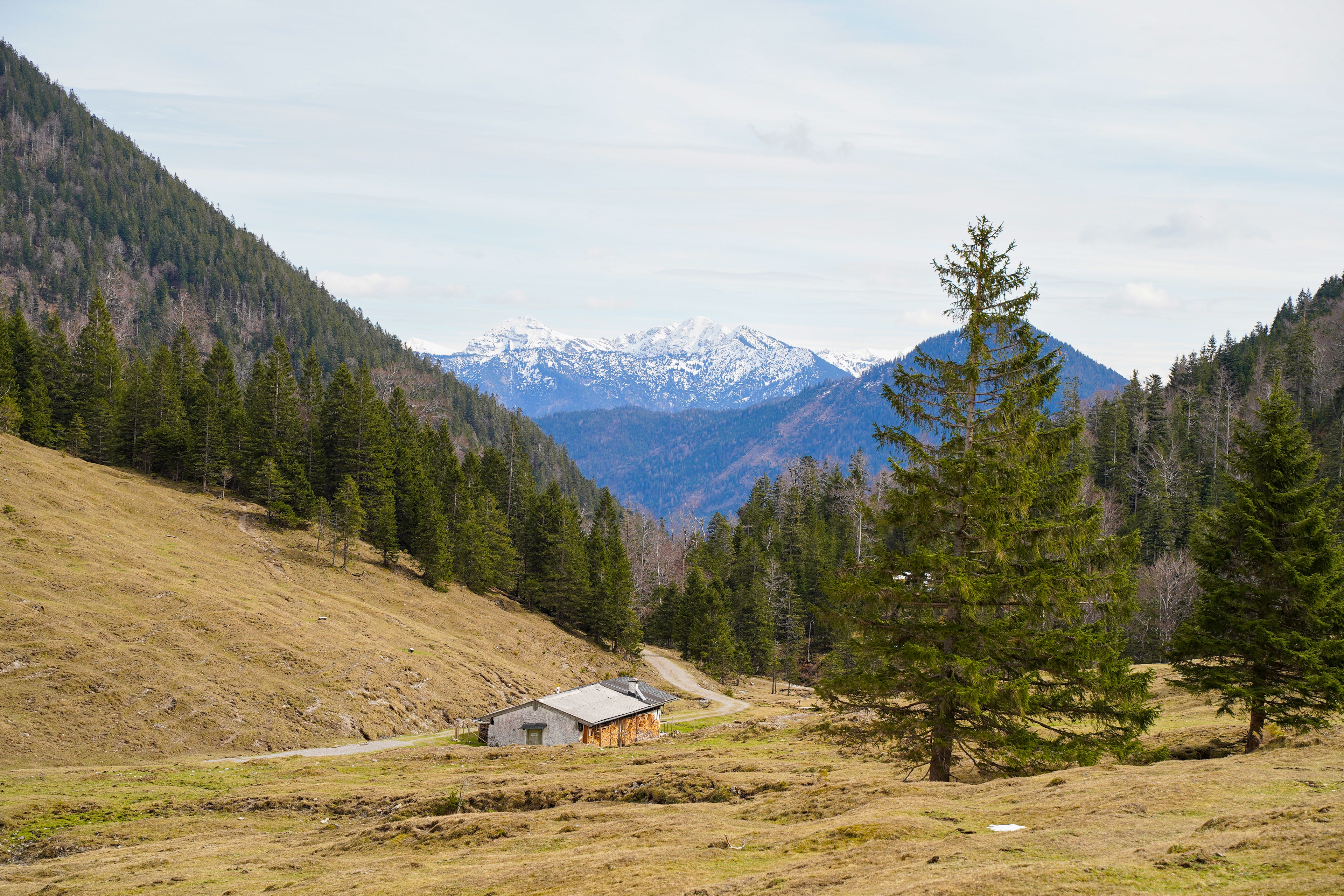 Jochberg, Bavaria, Germany