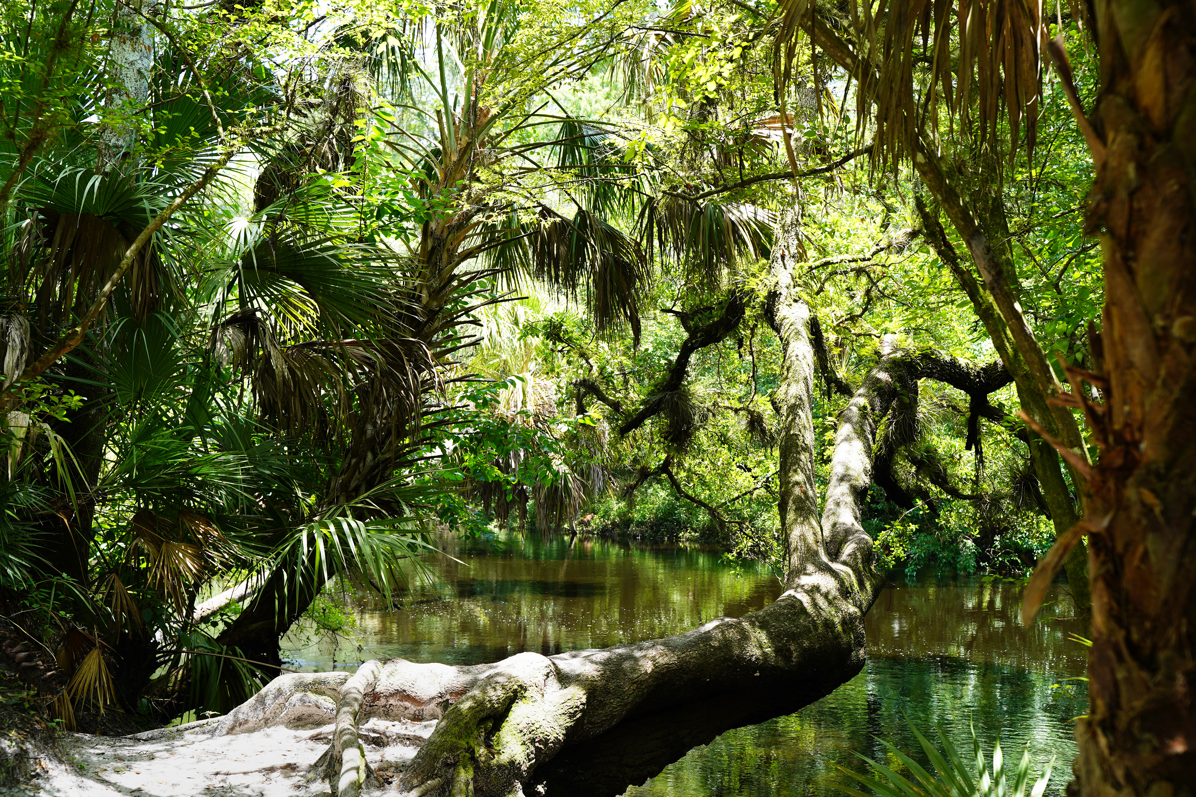 Hillsborough River State Park