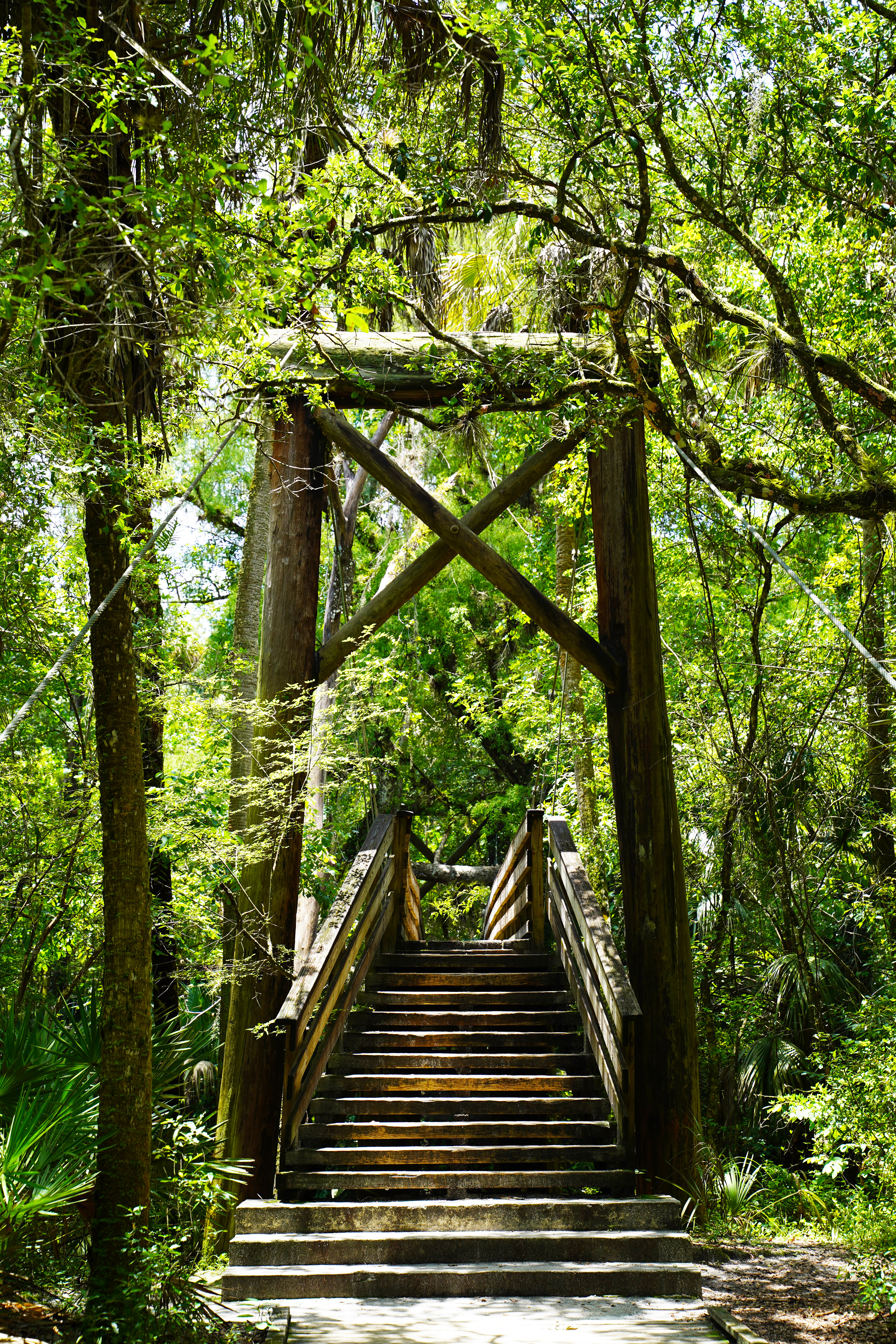 Hillsborough River State Park
