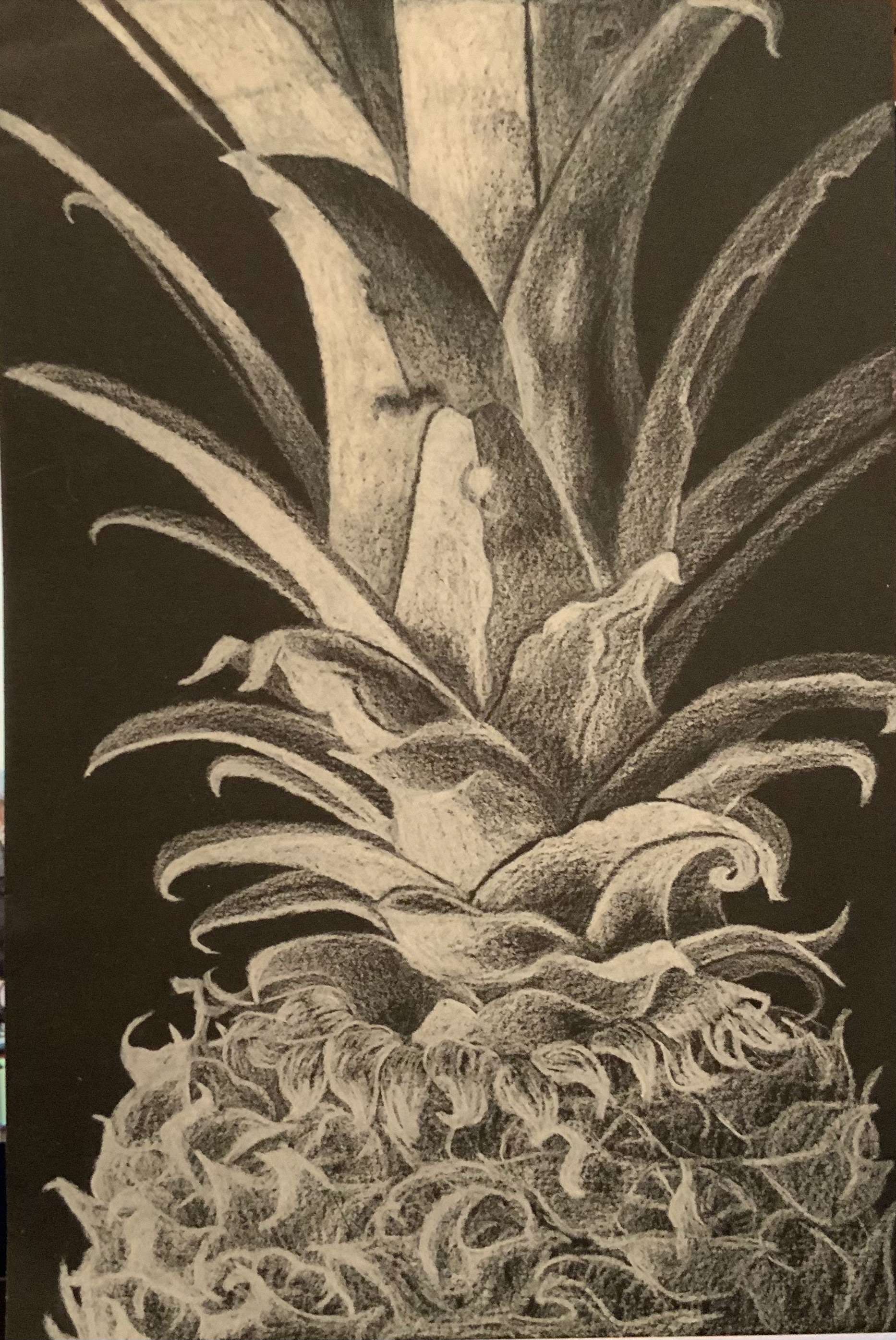White Colored Pencil on Black Paper - 2019