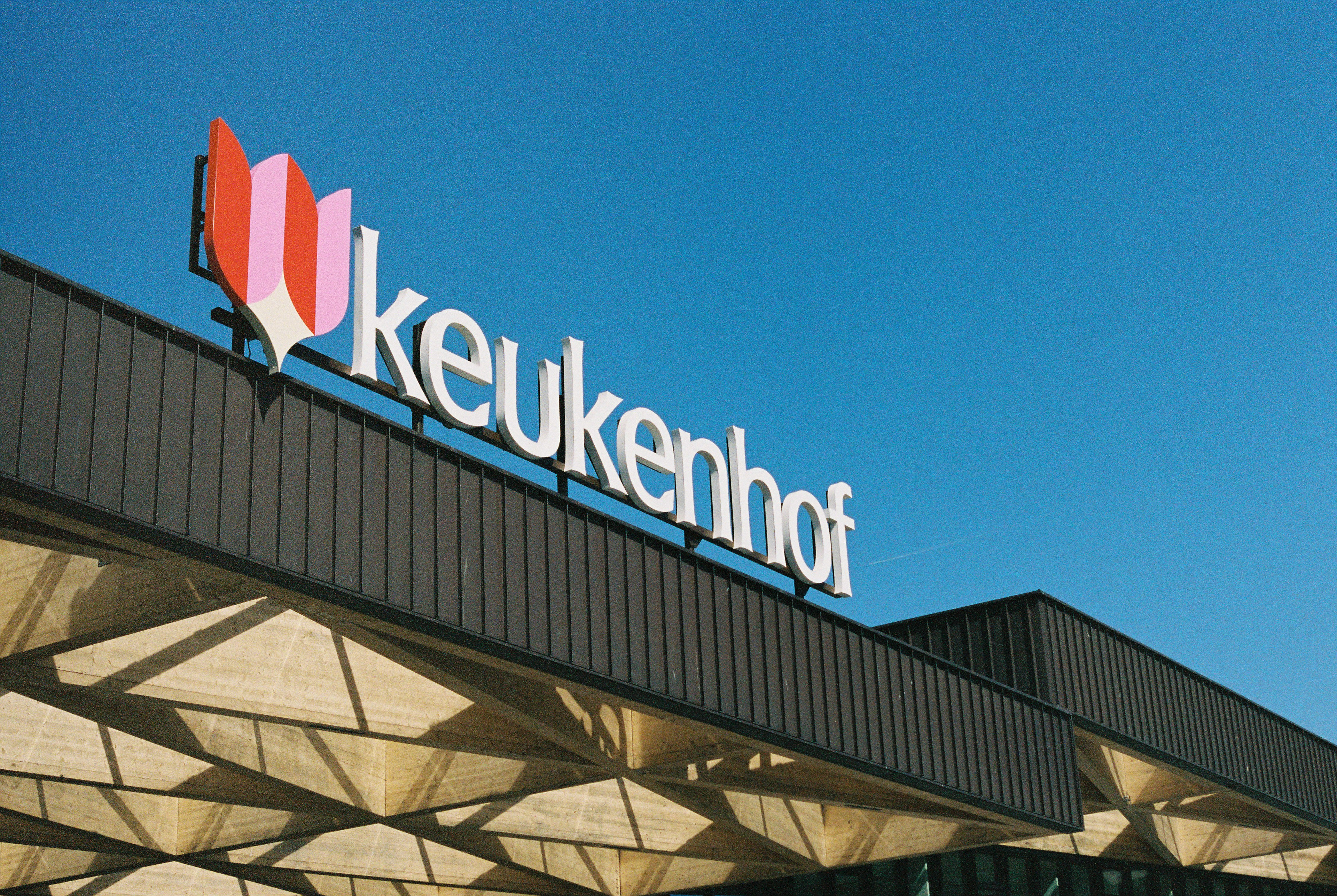 Keukenhof Gardens. 35mm, Canon FT QL.