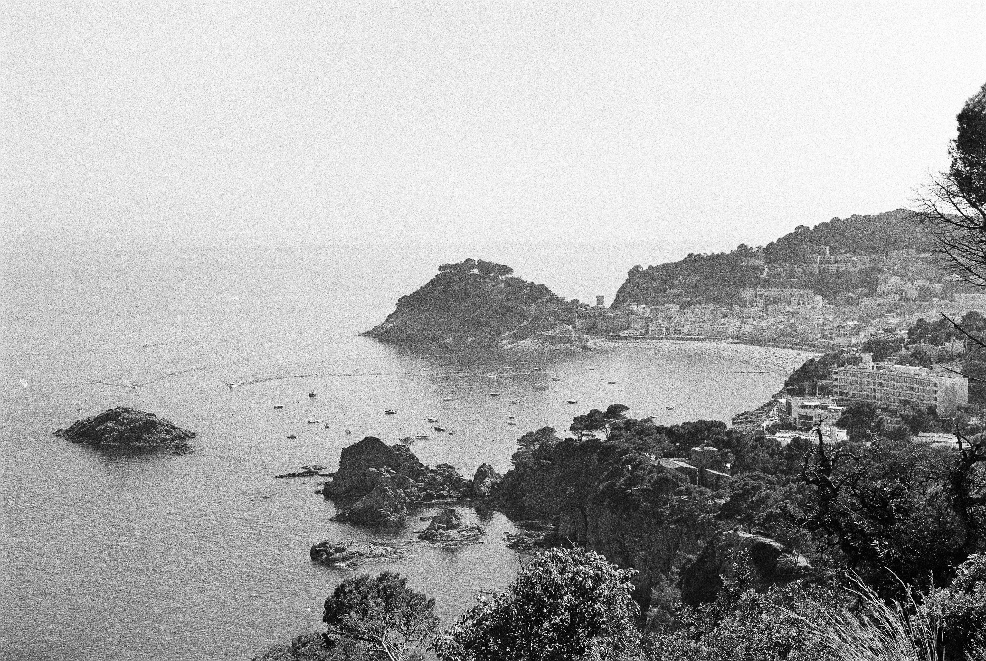 Overview. 35mm Canon FT QL.