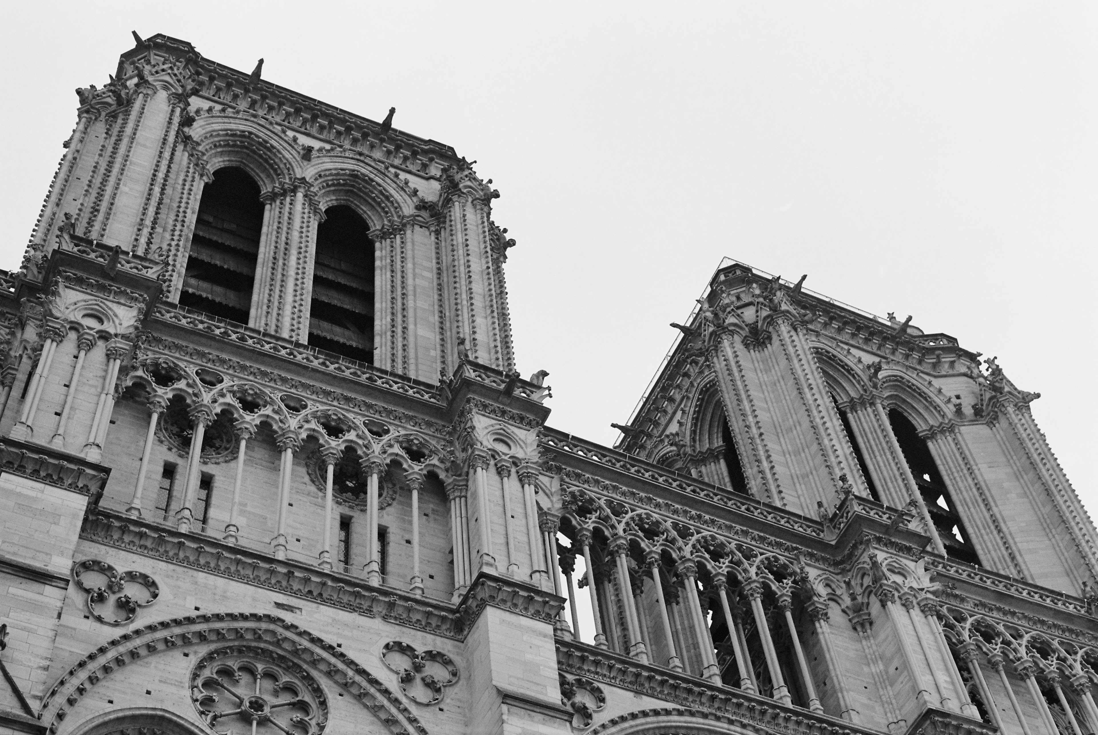 Cathédral Notre-Dame de Paris. 35mm, Canon FT QL.