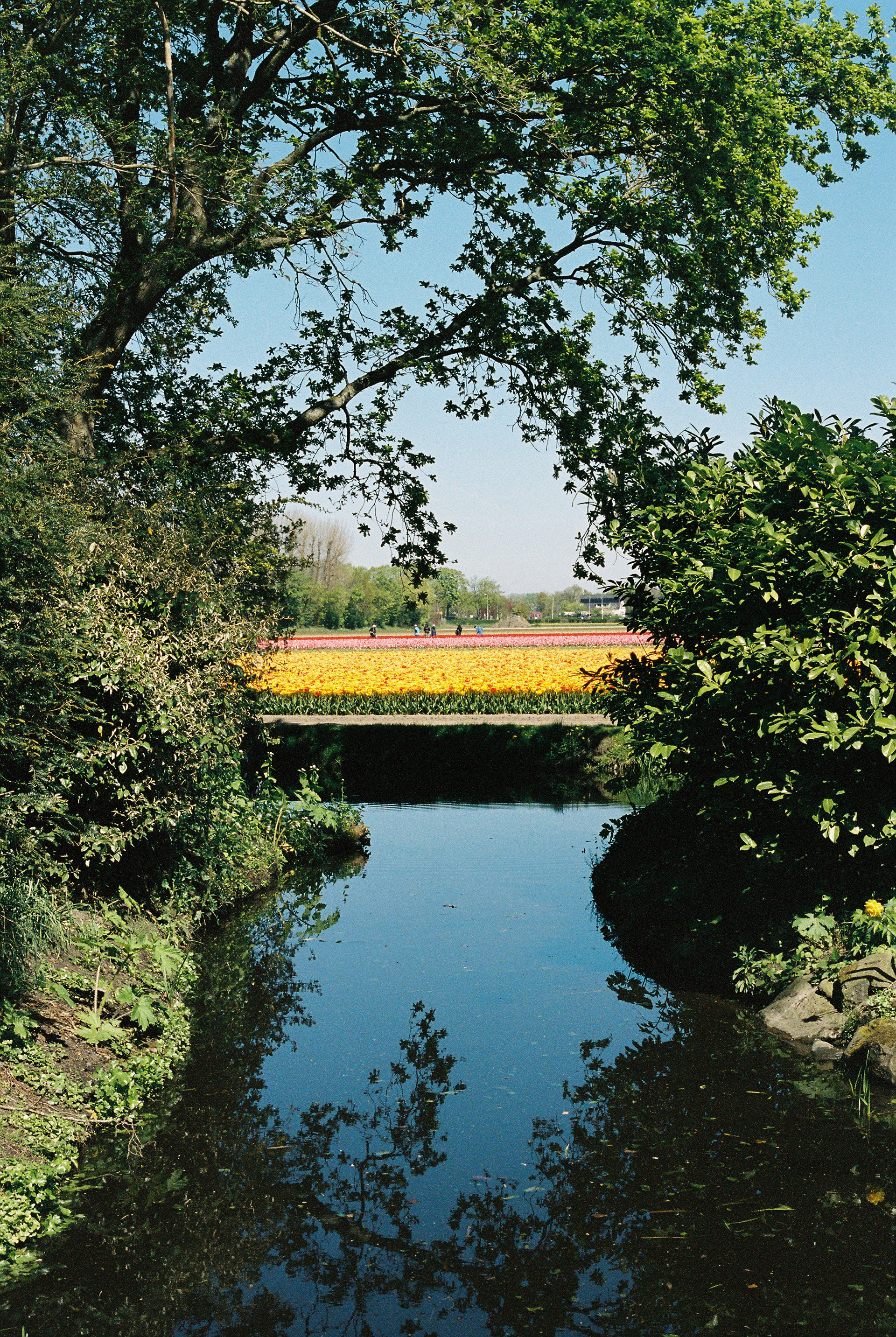 Window to the Fields. 35mm, Canon FT QL.