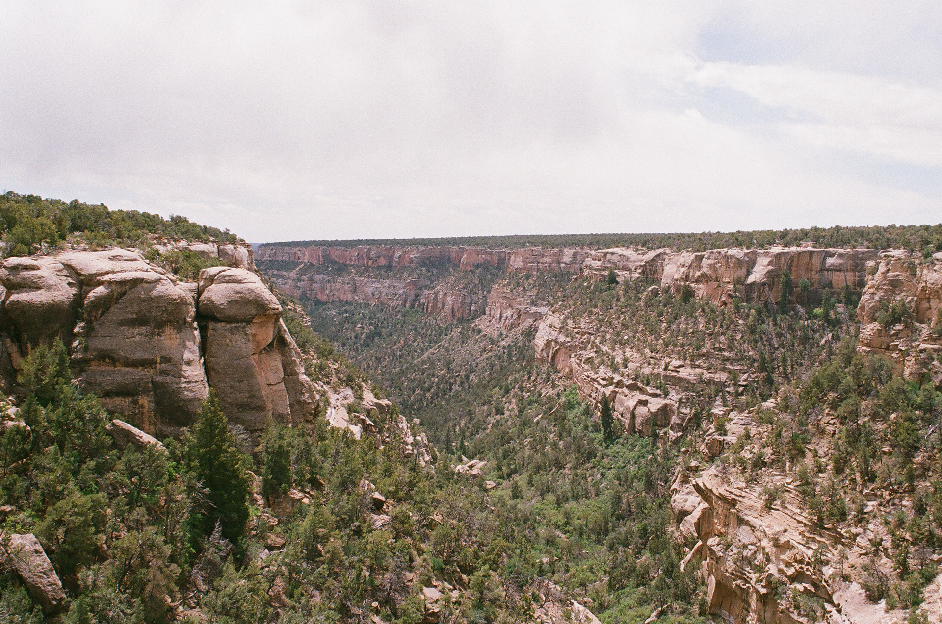 Mesa Verde. 35mm, Canon FT QL.