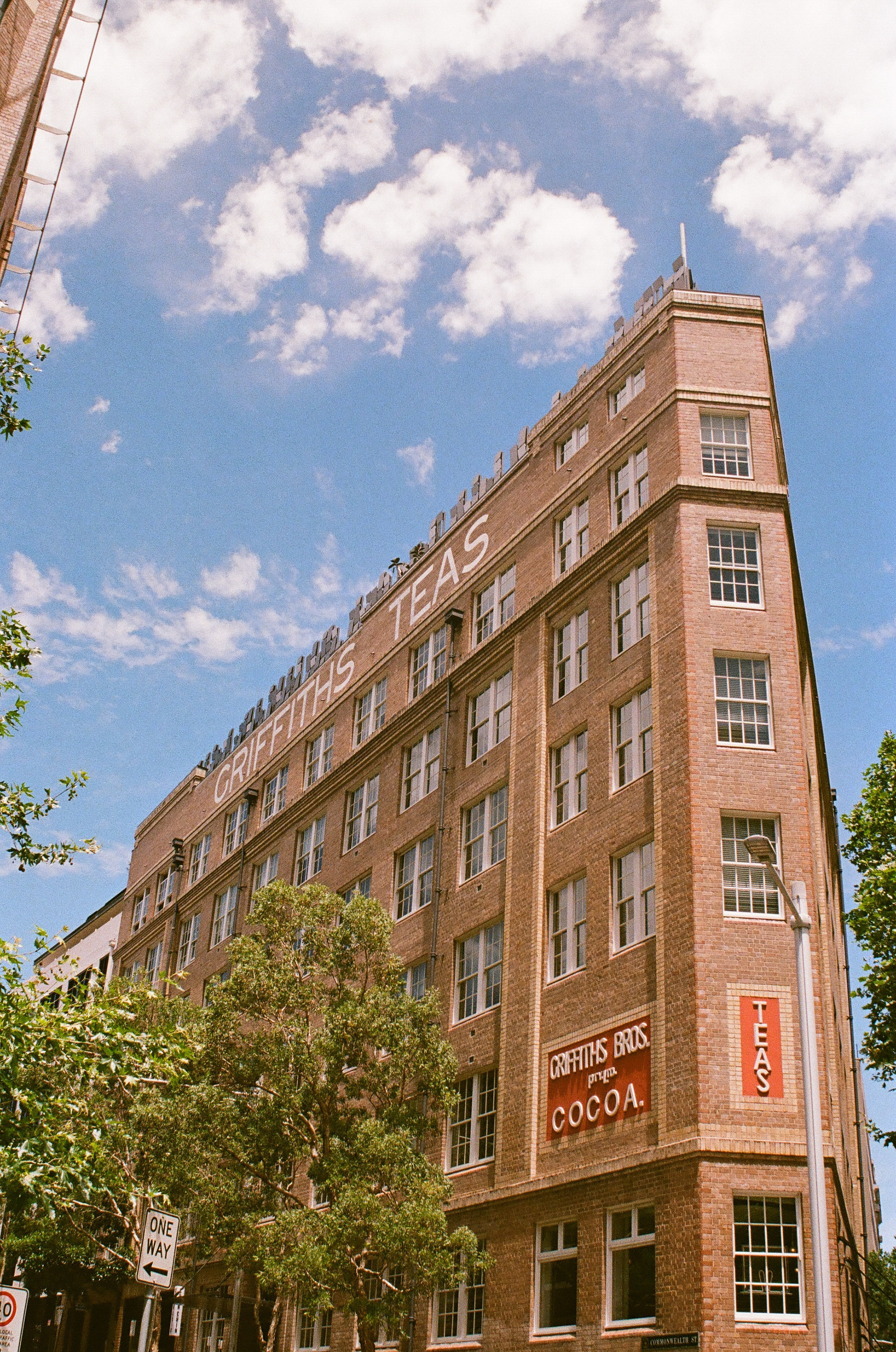 Griffith Teas. 35mm, Canon EOS Rebel S.