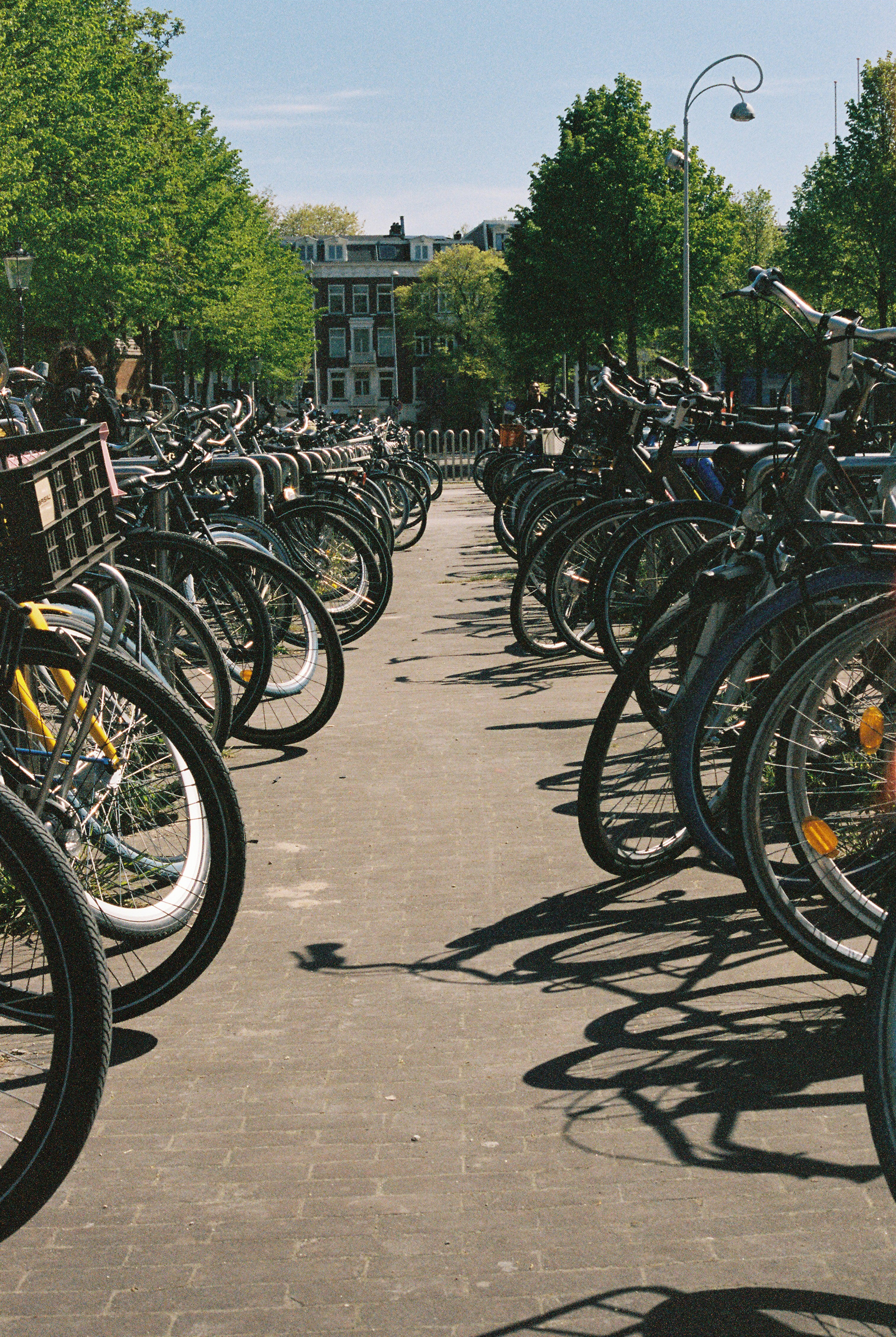 Biking. 35mm, Canon FT QL.