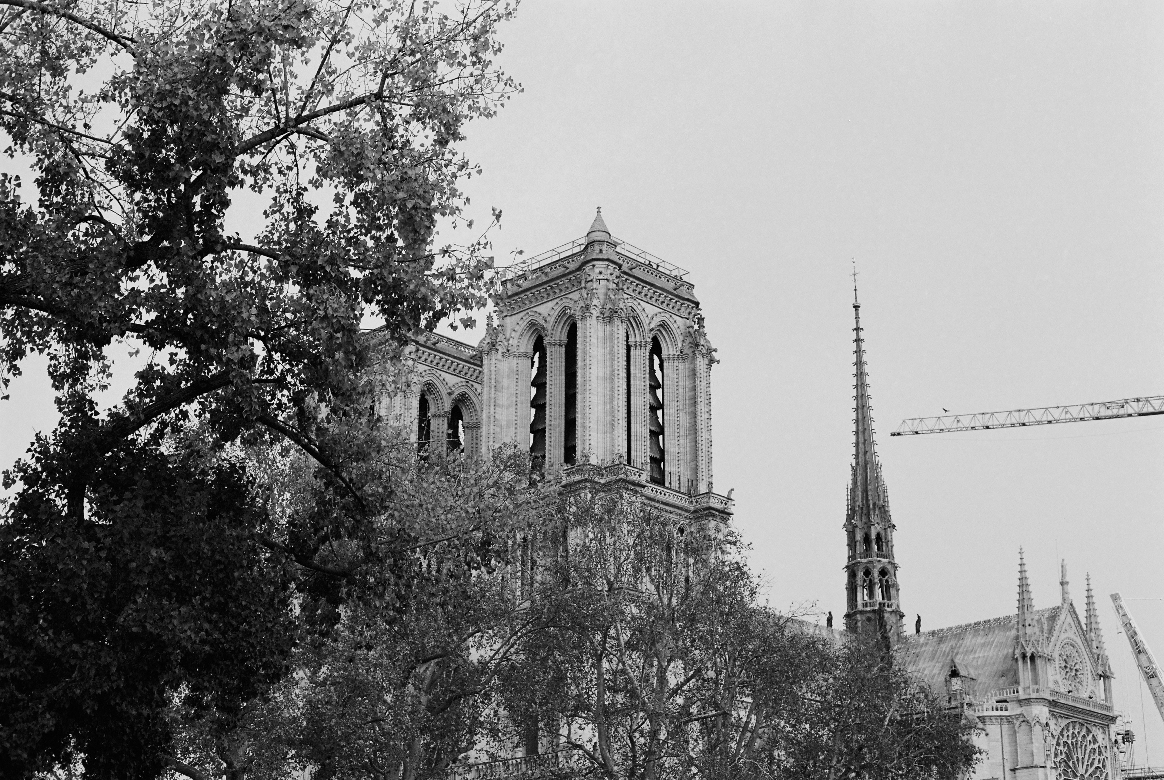 Cathédral Notre-Dame de Paris. 35mm, Canon FT QL.