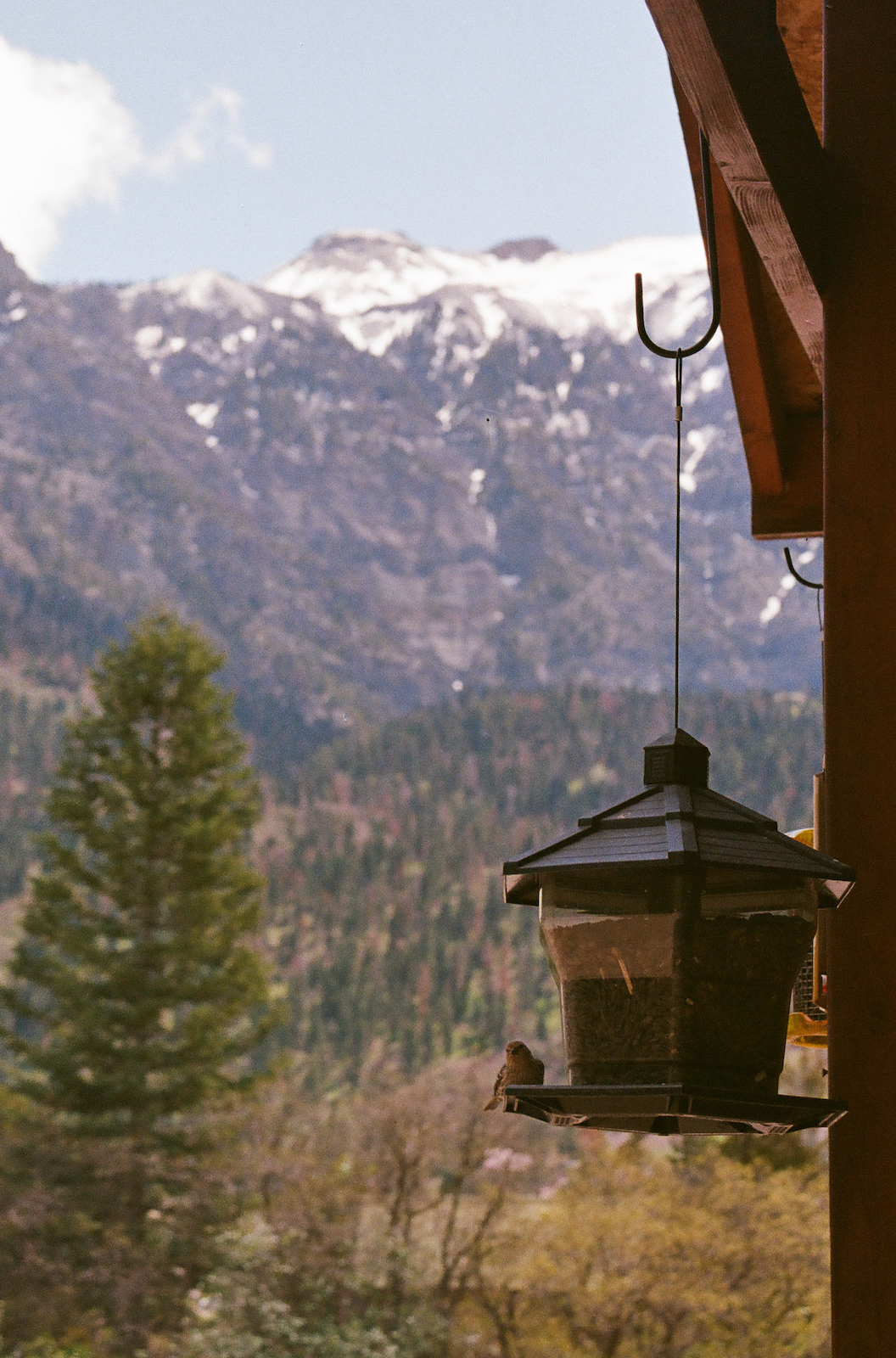 Lunch. 35mm, Canon FT QL.