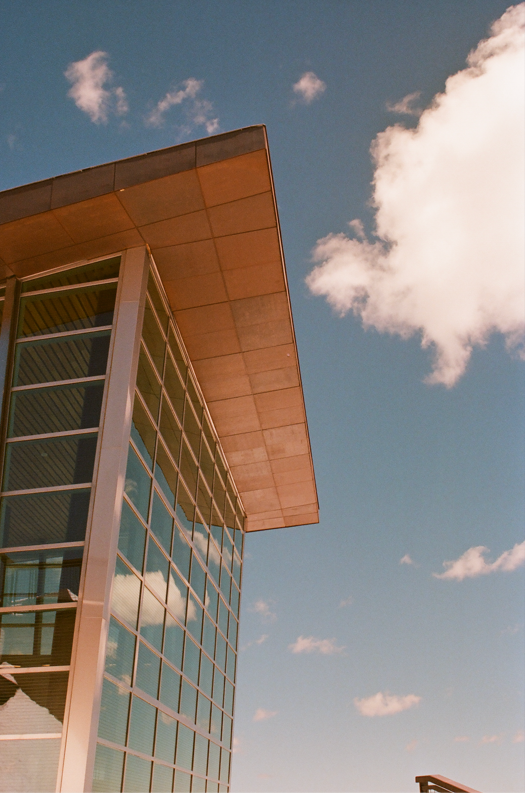 Vista. 35mm, Canon FT QL.