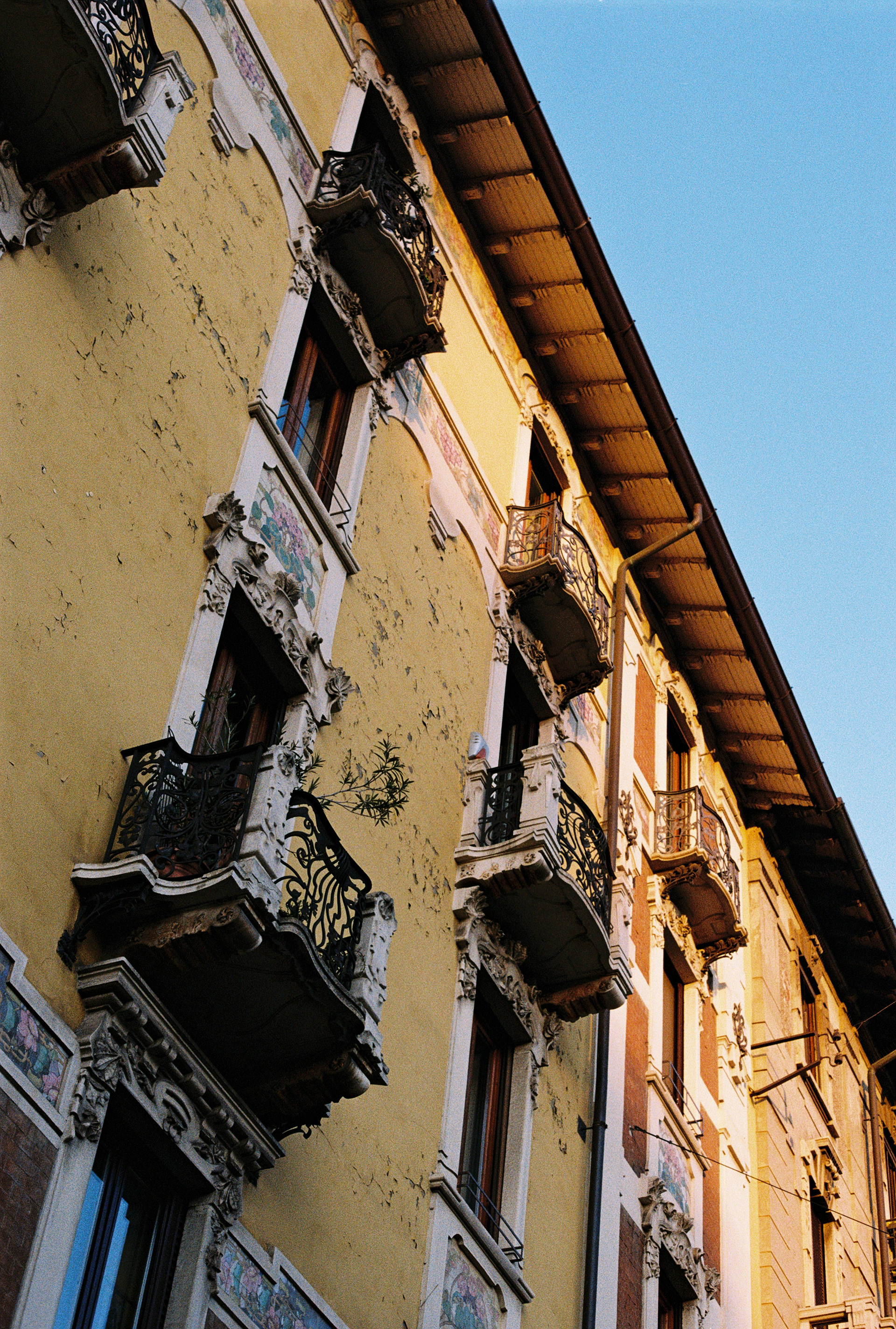 Peeling Paint. 35mm, Canon FT QL.