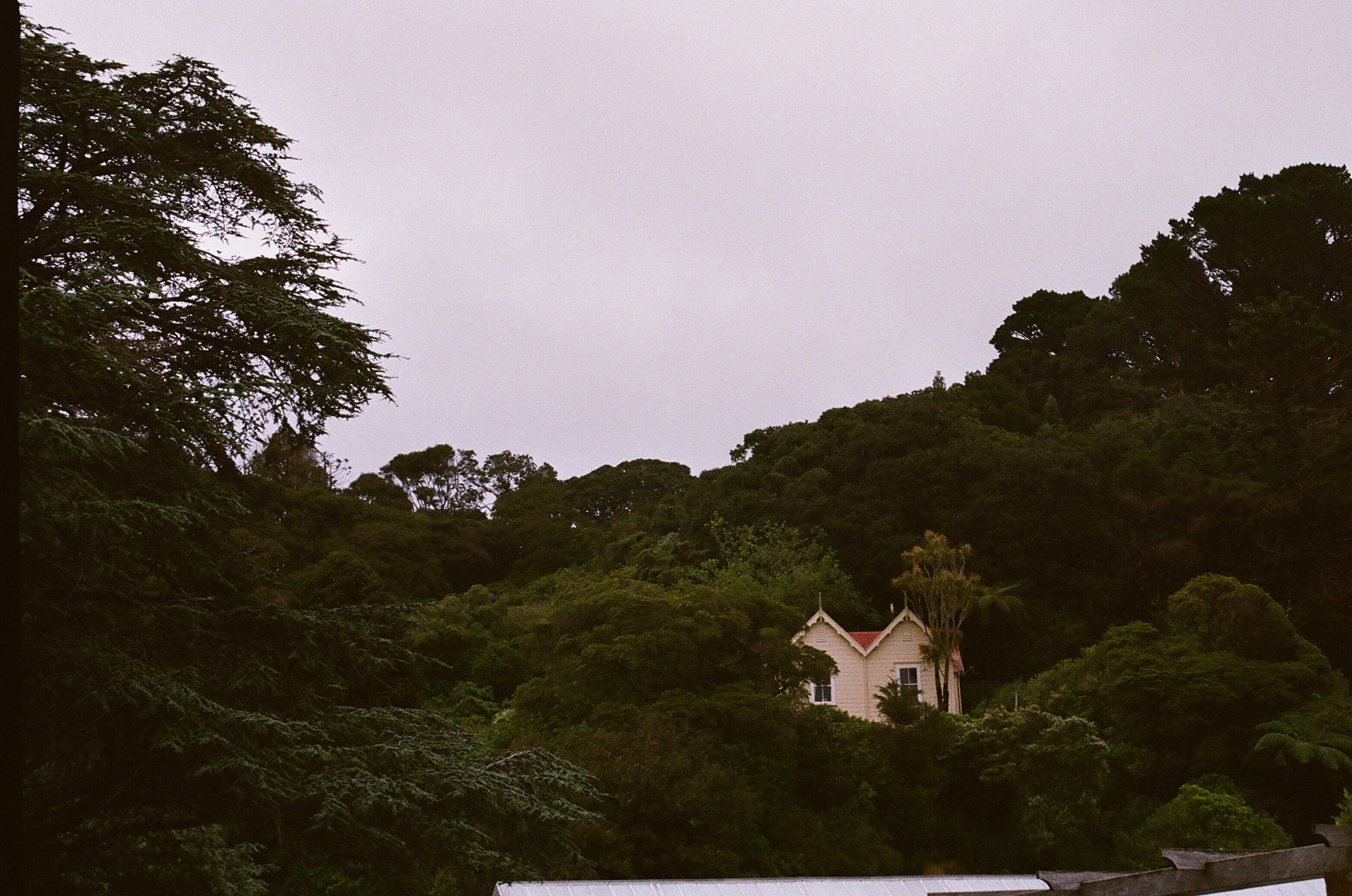 From the park. 35mm, Canon EOS Rebel S.