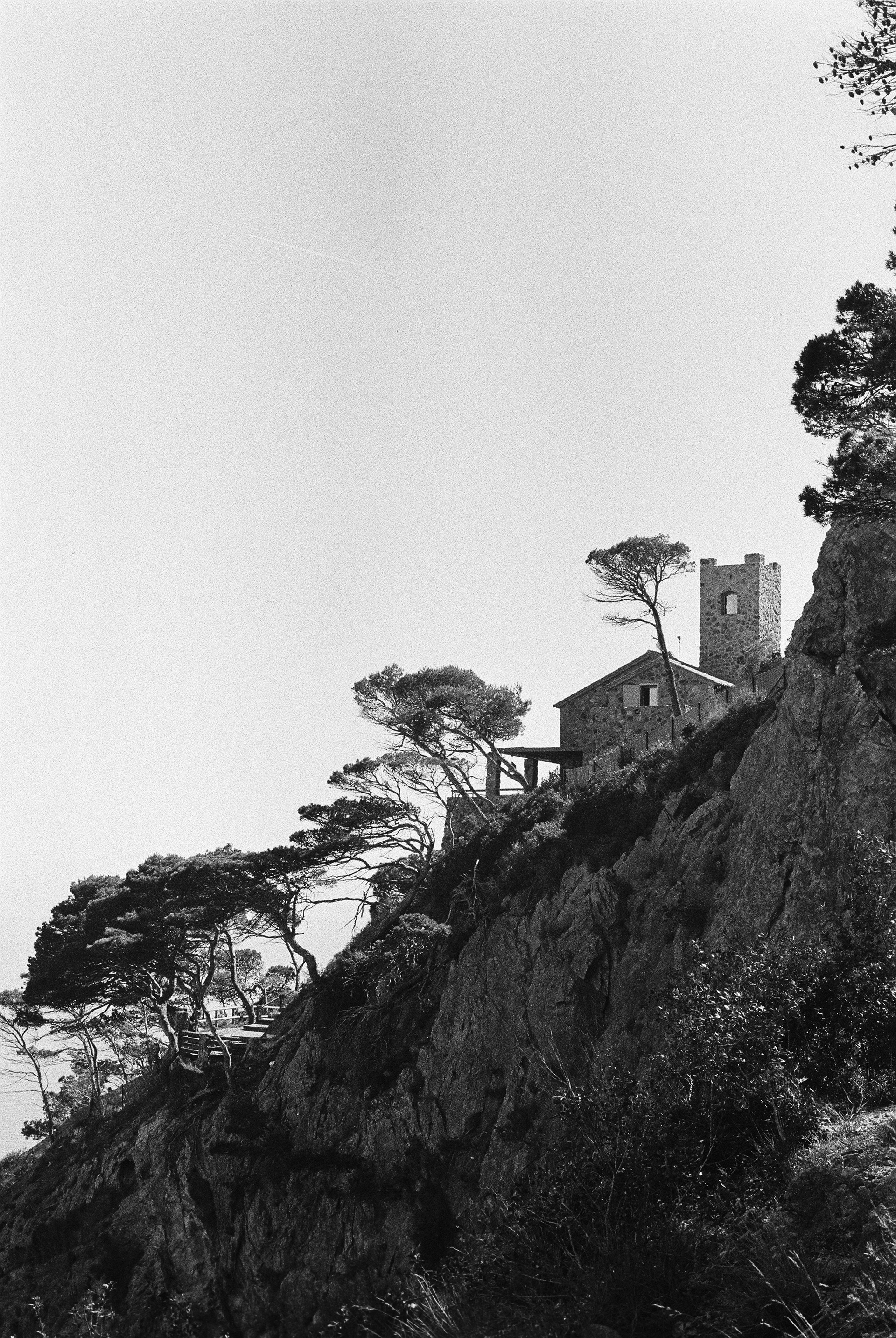 Hillside. 35mm Canon FT QL.
