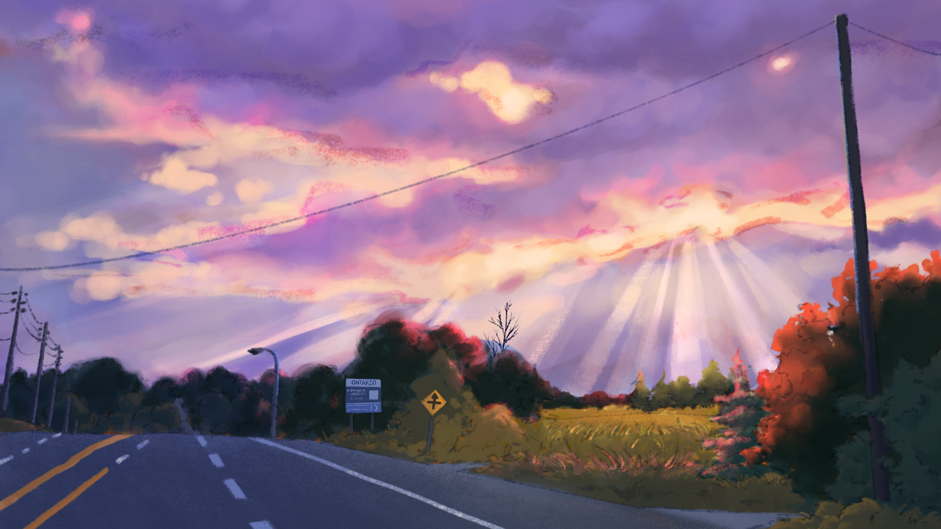 Landscape & Lighting Study