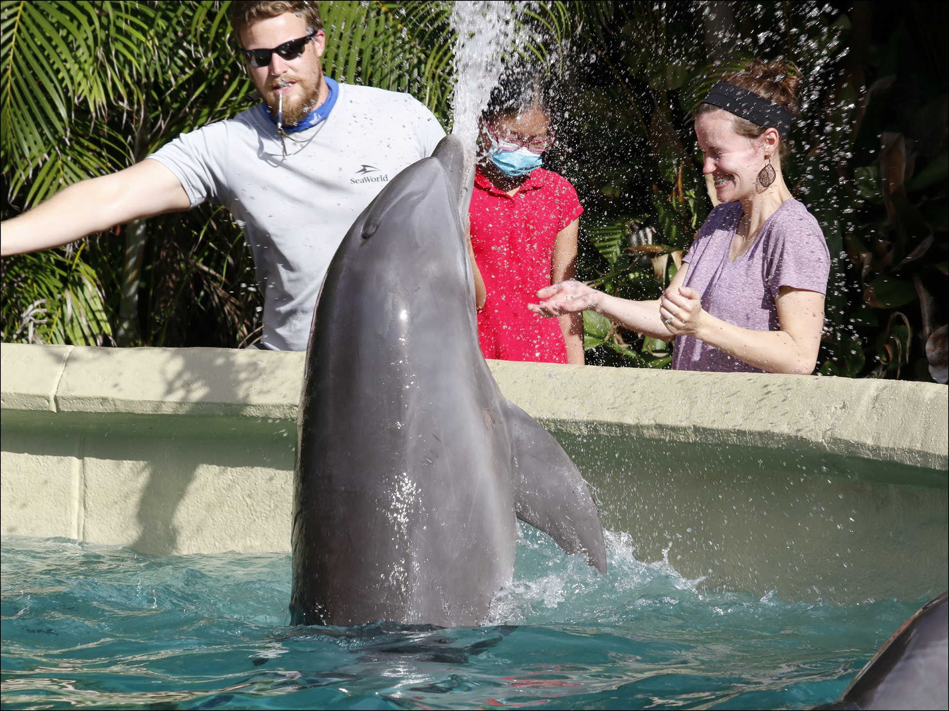 Dolphin nursery tour