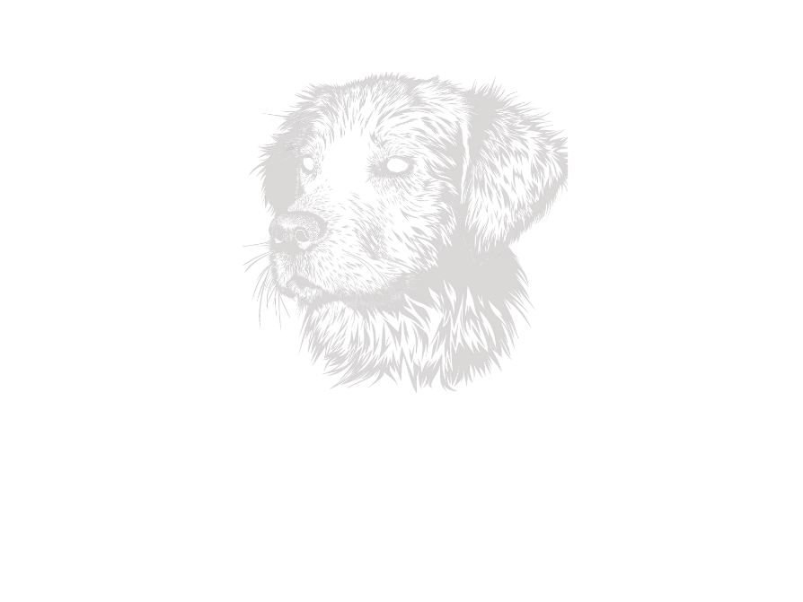 COPPER FILMS