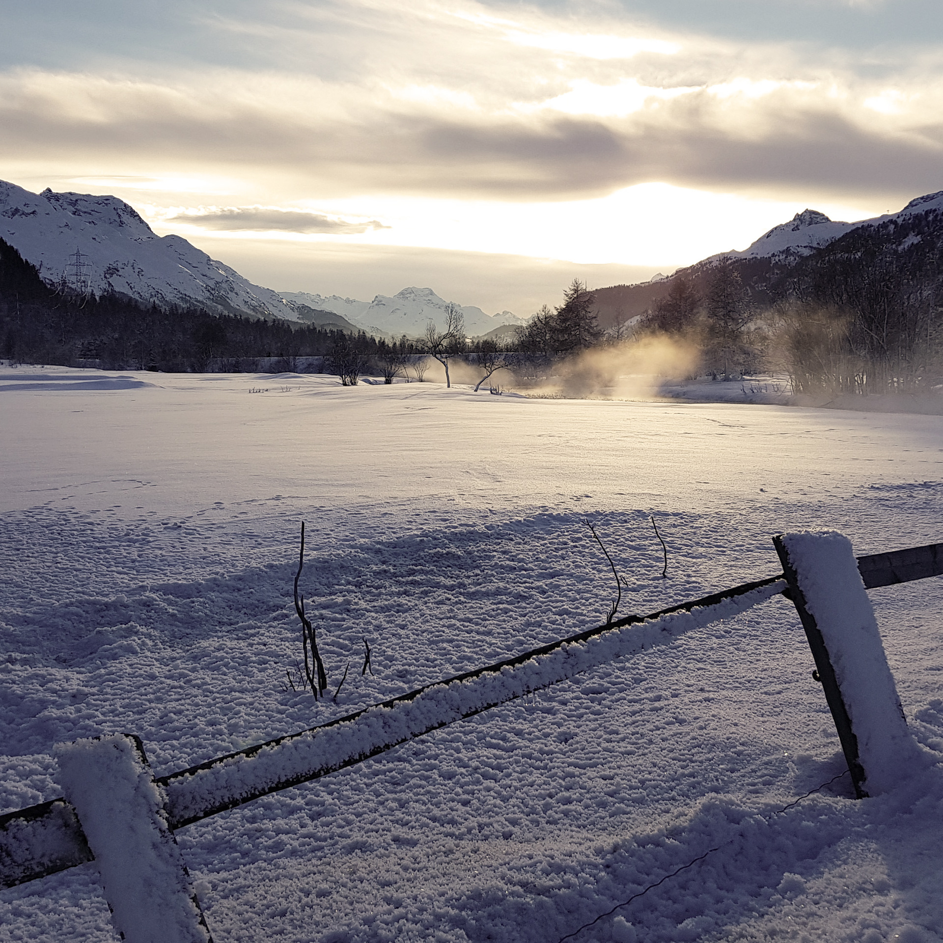 © Marius Hamann Photography
