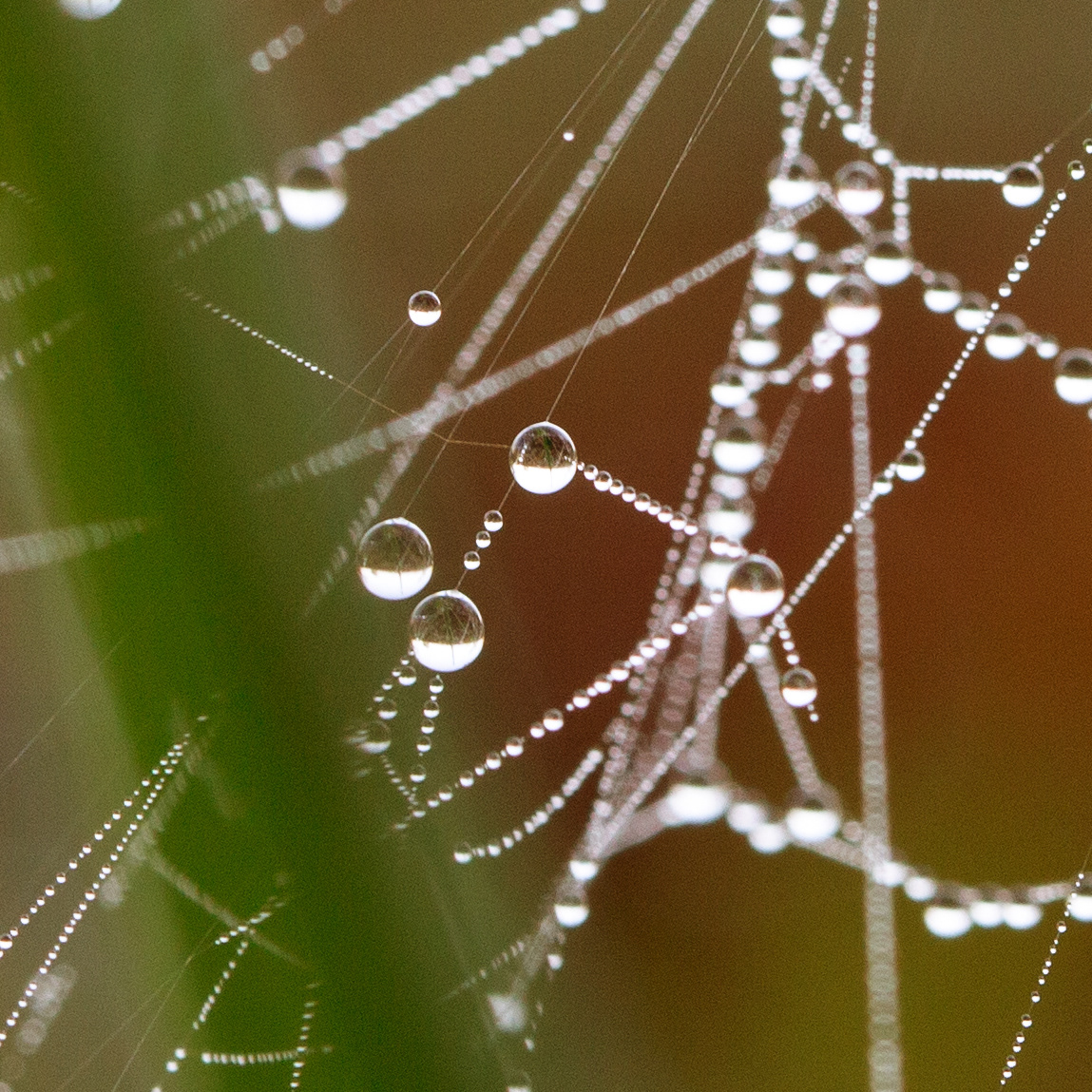 © Marius Hamann Photography