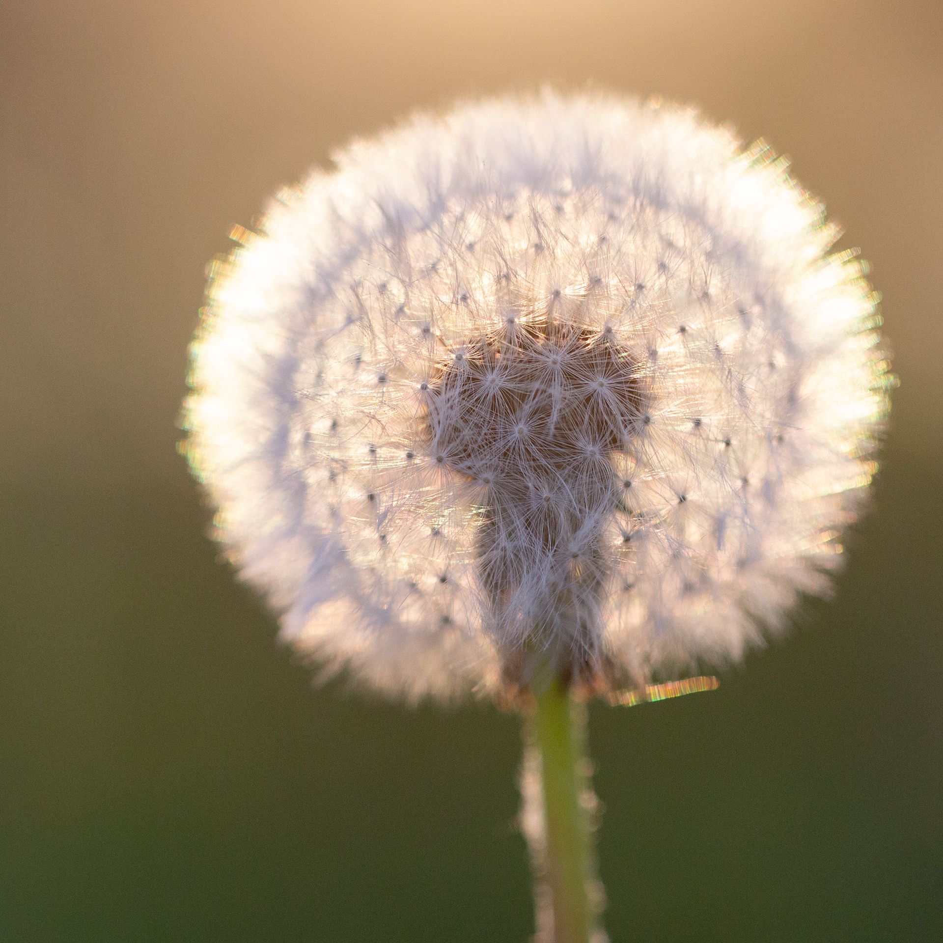 © Marius Hamann Photography
