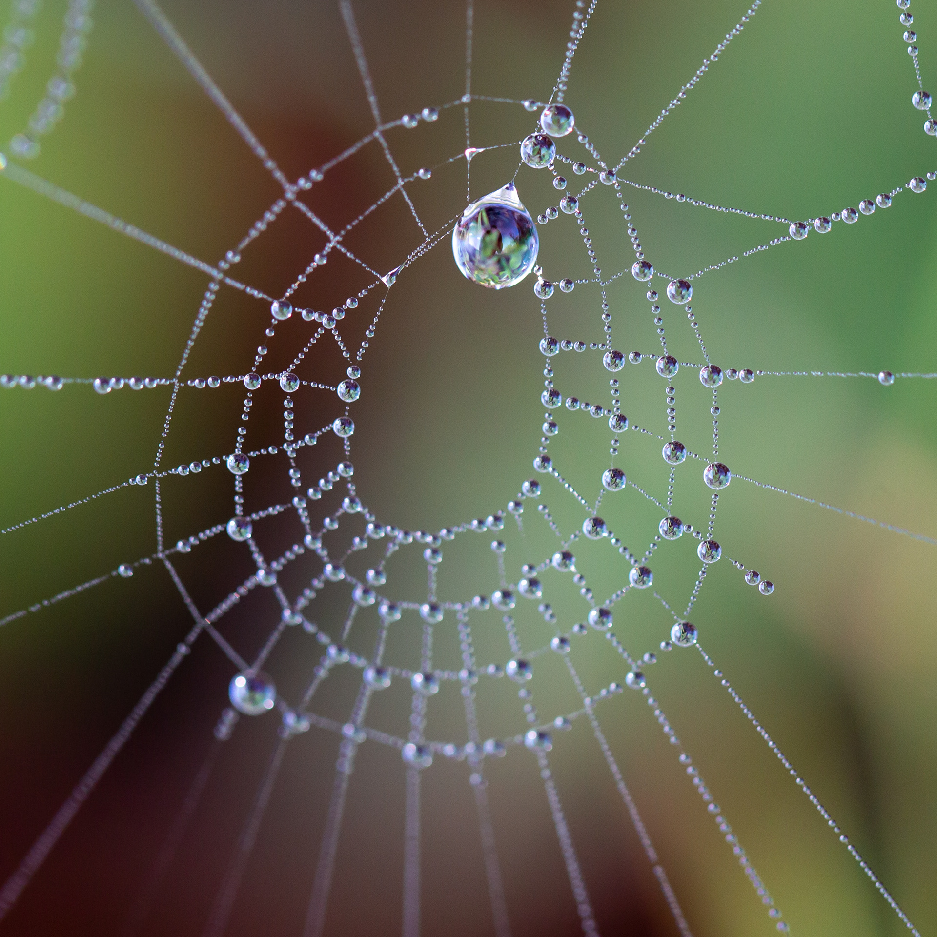 © Marius Hamann Photography
