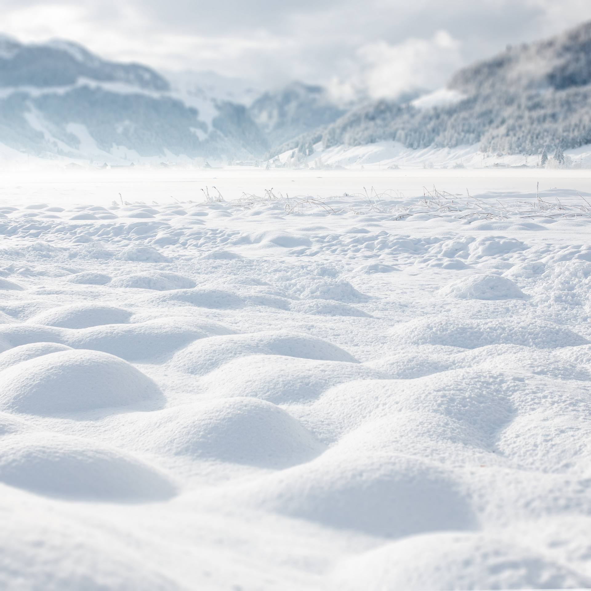 © Marius Hamann Photography
